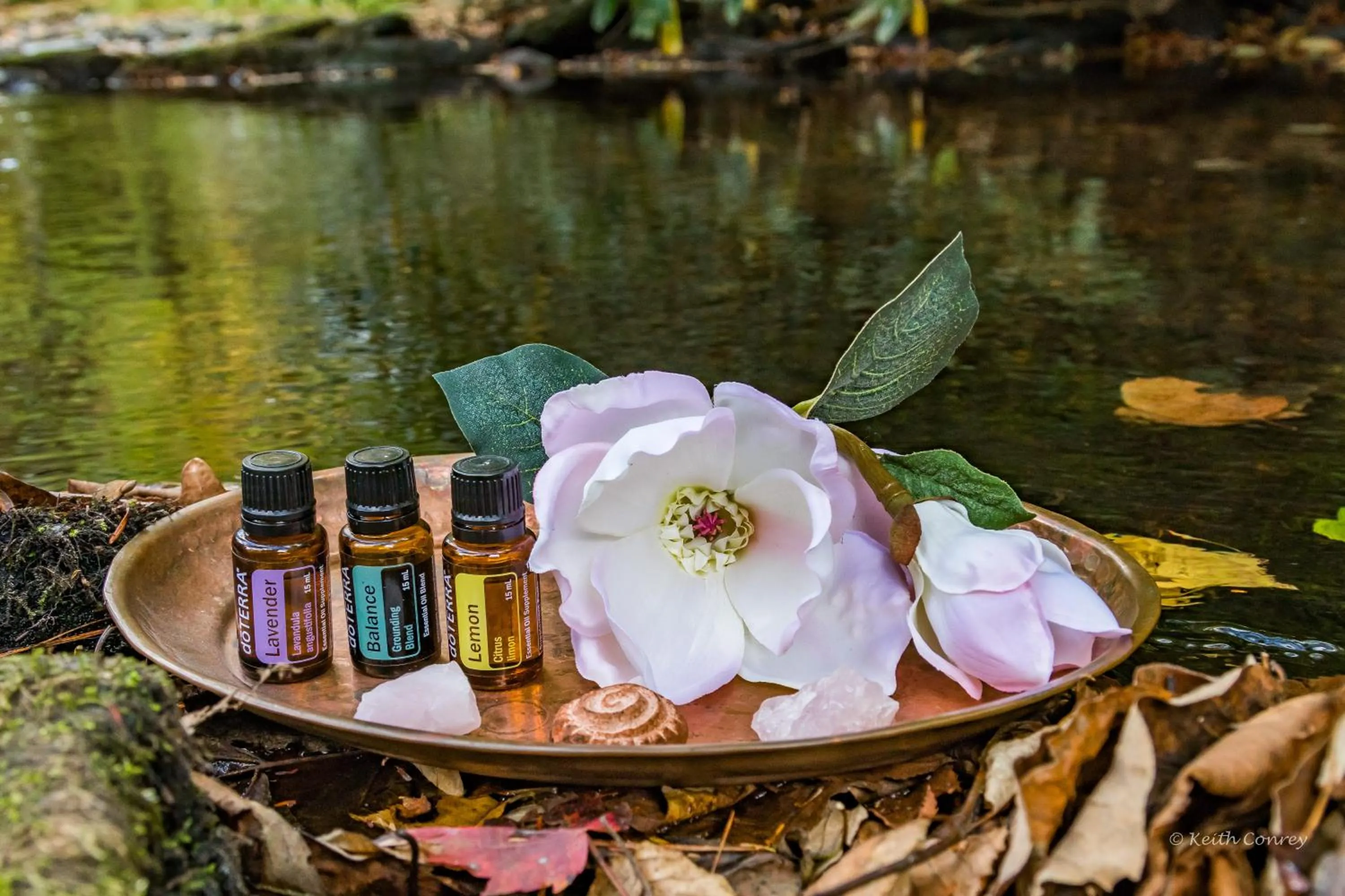 Natural landscape in Magnolia Streamside Resort