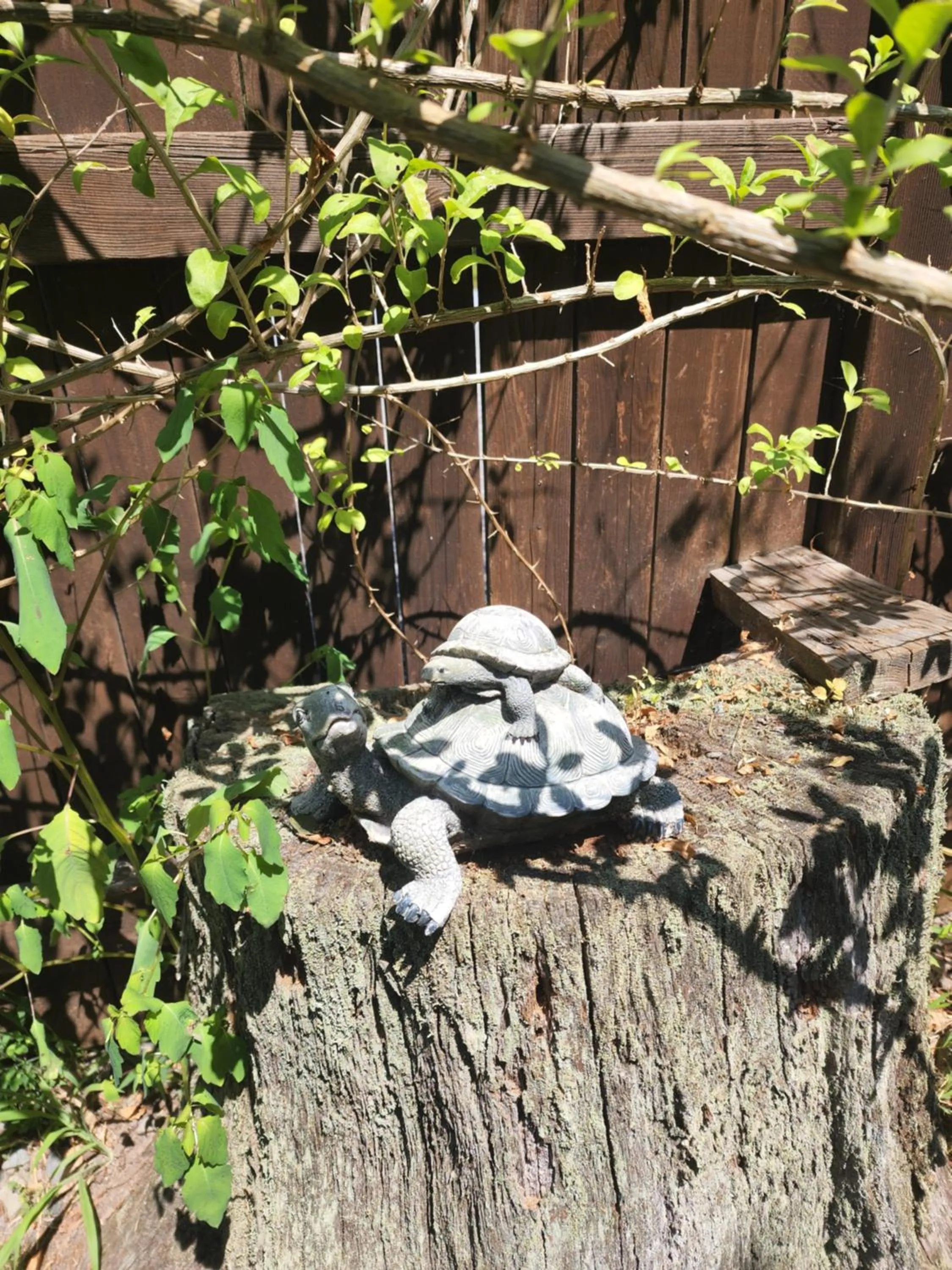 Decorative detail in Magnolia Streamside Resort