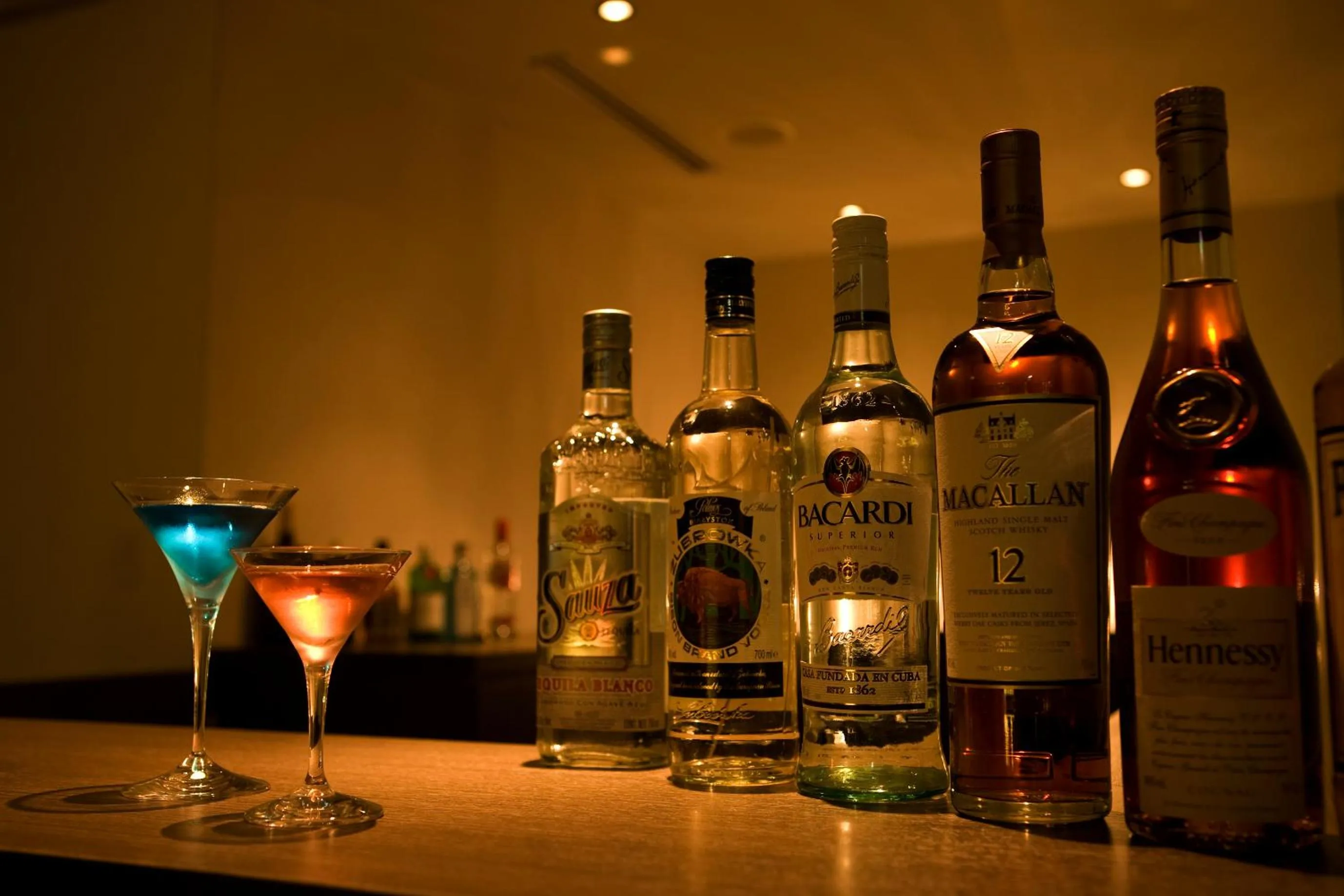 Lounge or bar in Ito Yukitei