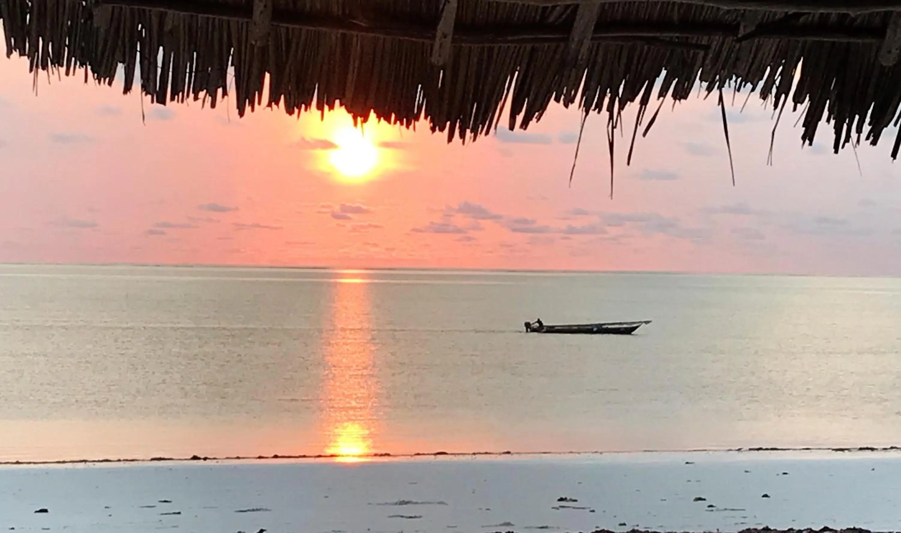 Beach in Isla Bonita Zanzibar Beach Resort