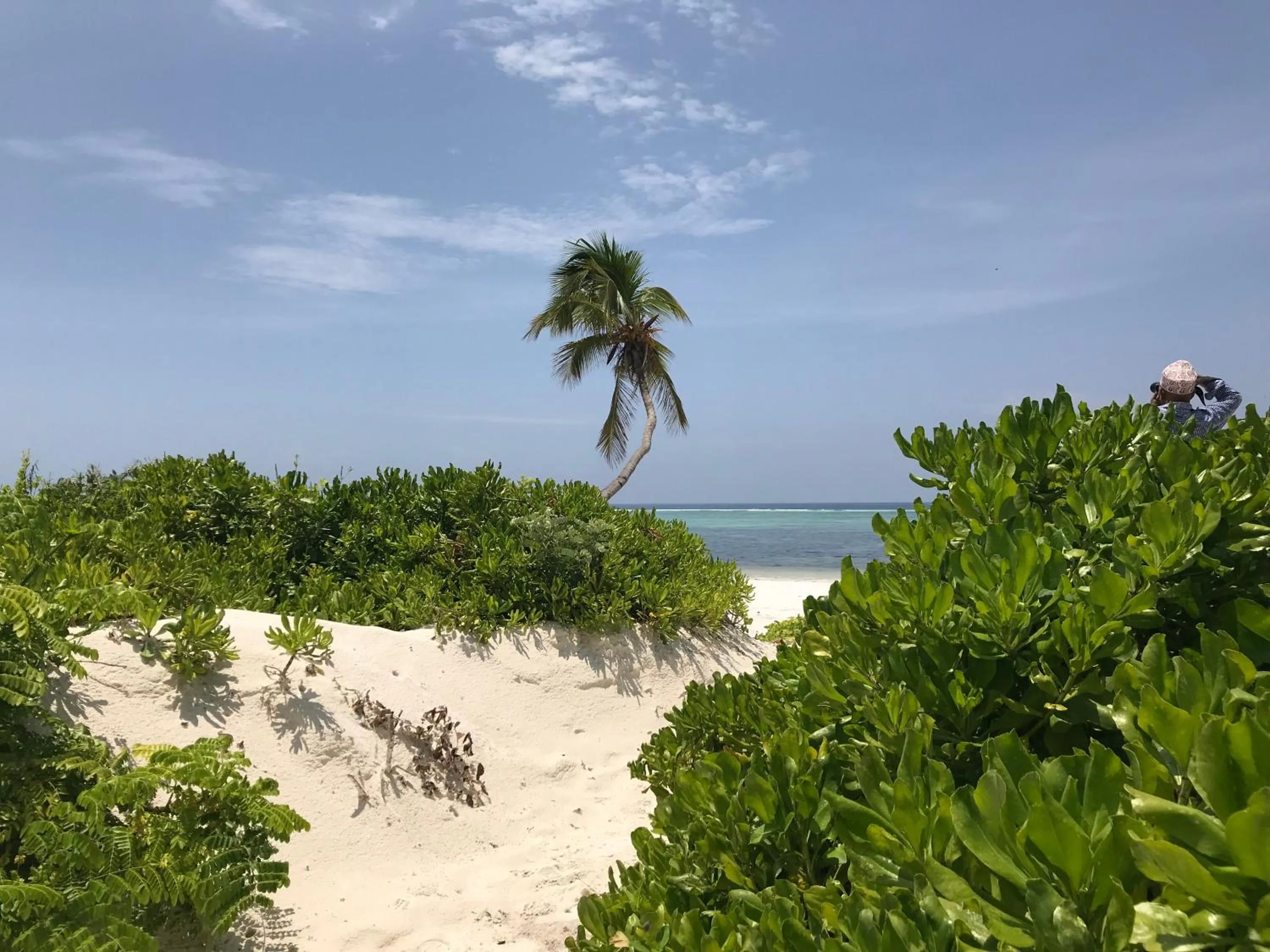 Beach in Isla Bonita Zanzibar Beach Resort