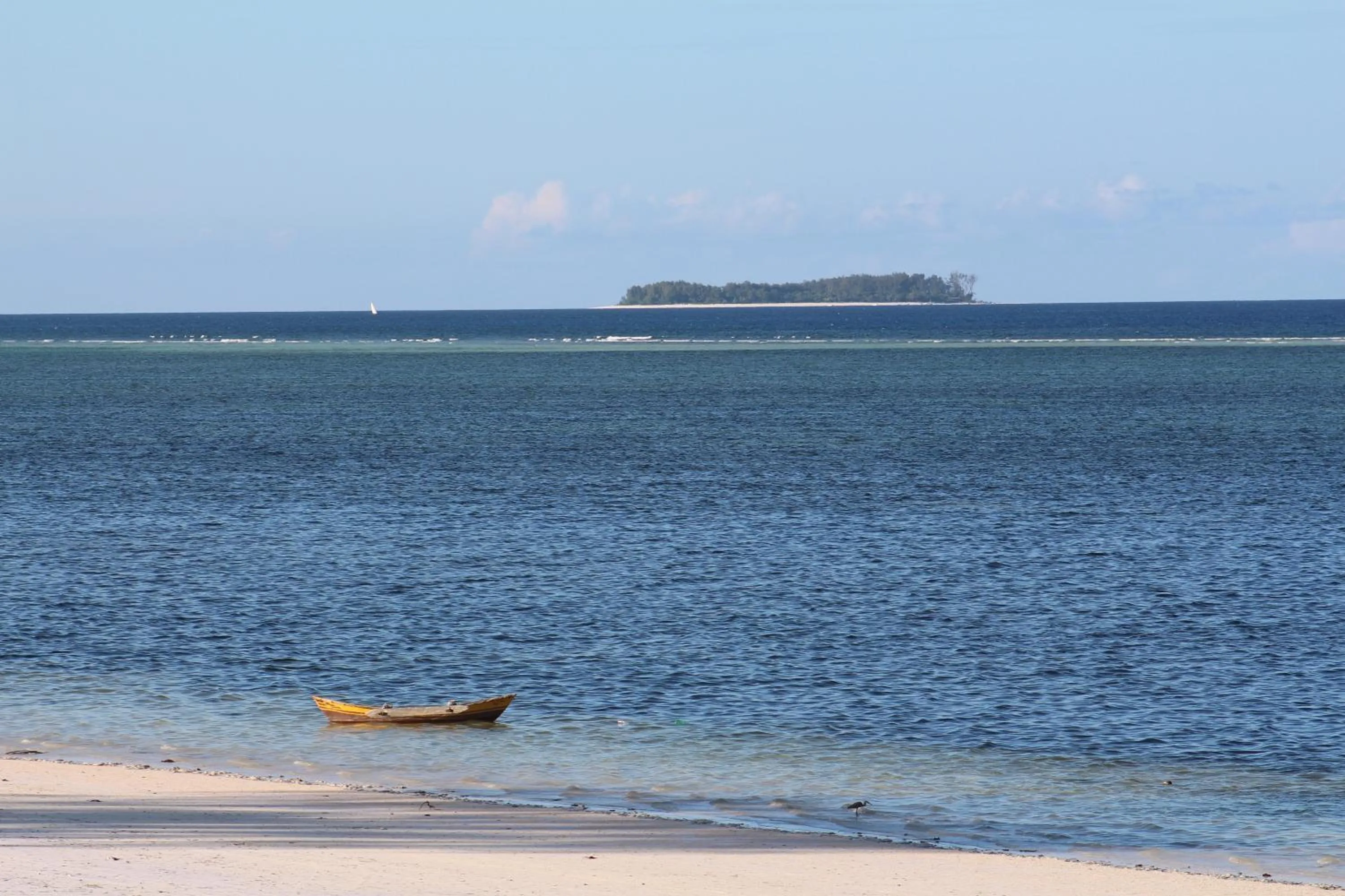 Beach in Isla Bonita Zanzibar Beach Resort