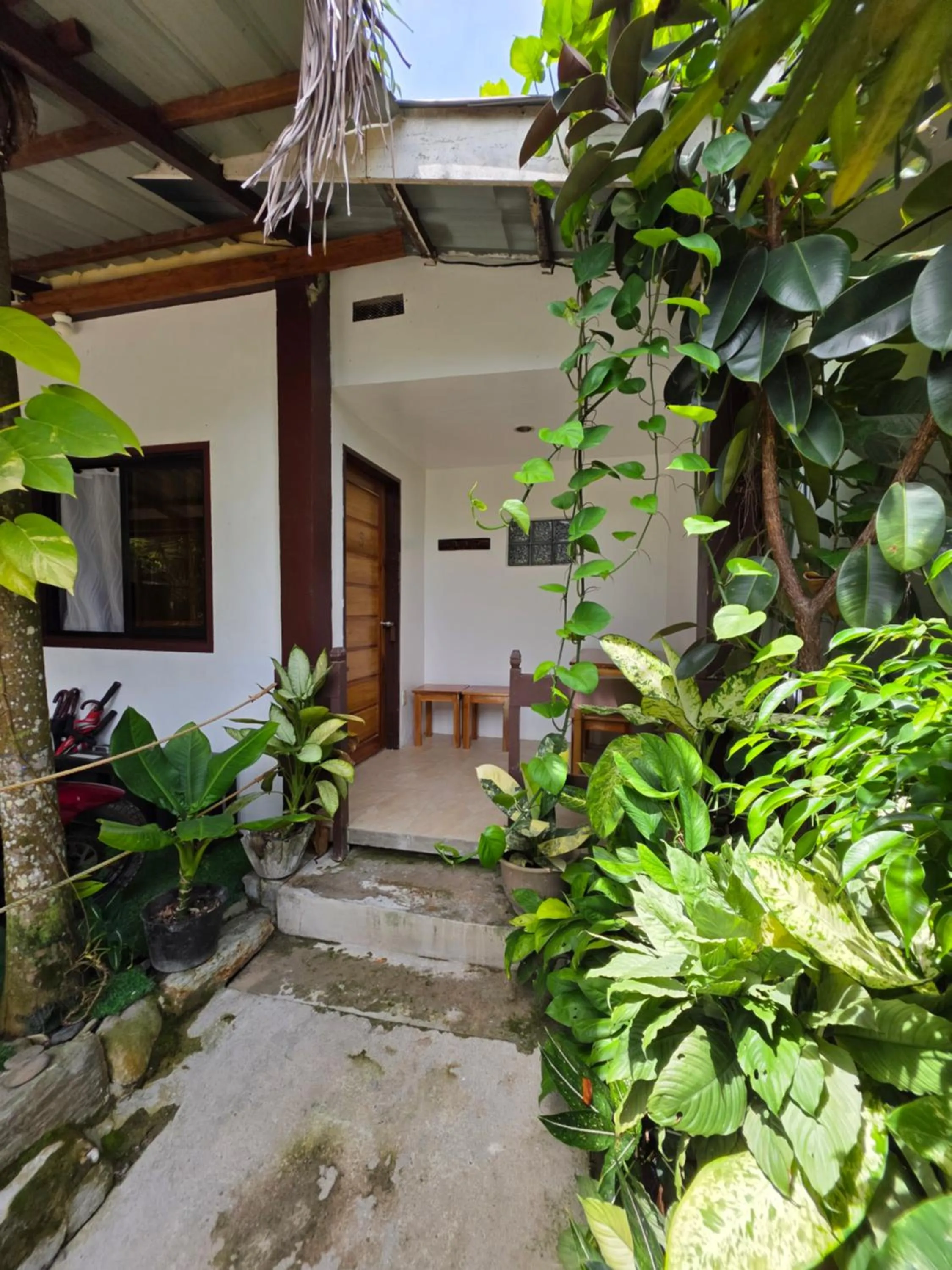 Property building in Pisces Tourist Inn - Port Barton