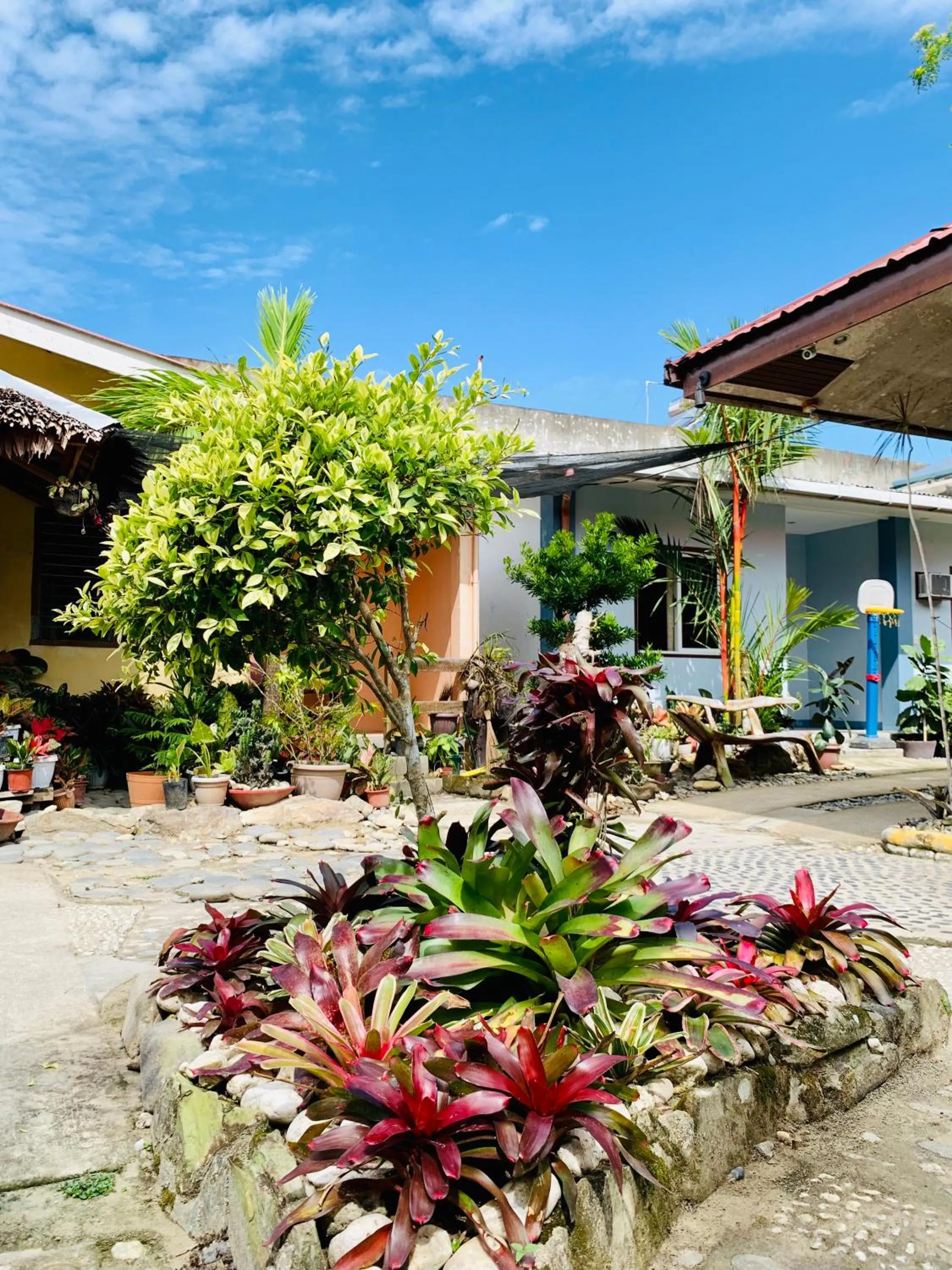 Garden view in Pisces Tourist Inn - Port Barton