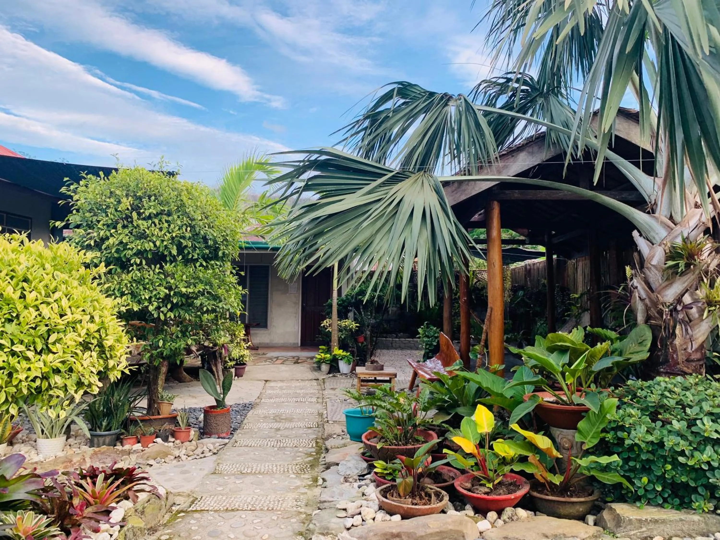 Garden in Pisces Tourist Inn - Port Barton