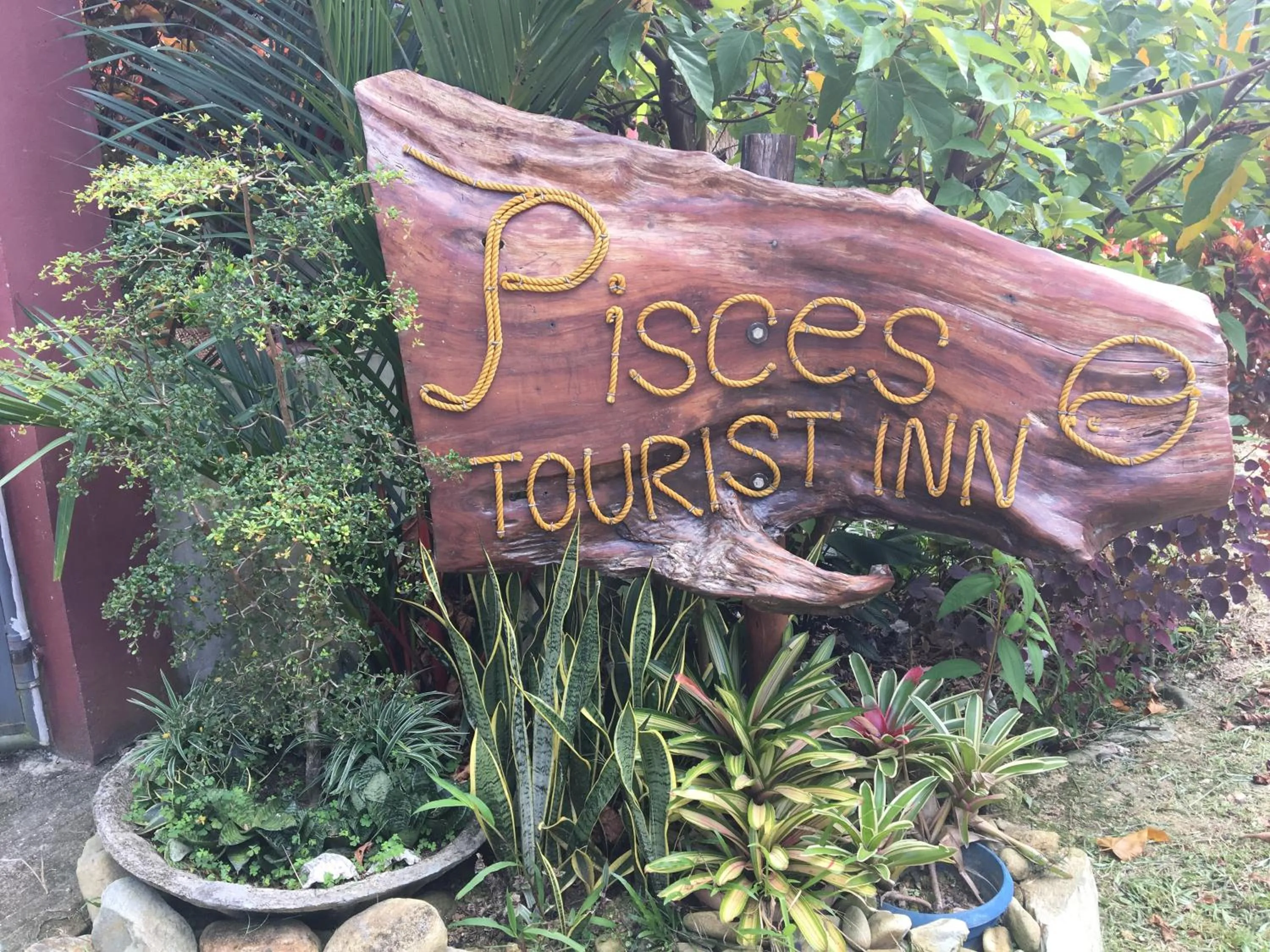 Property logo or sign in Pisces Tourist Inn - Port Barton