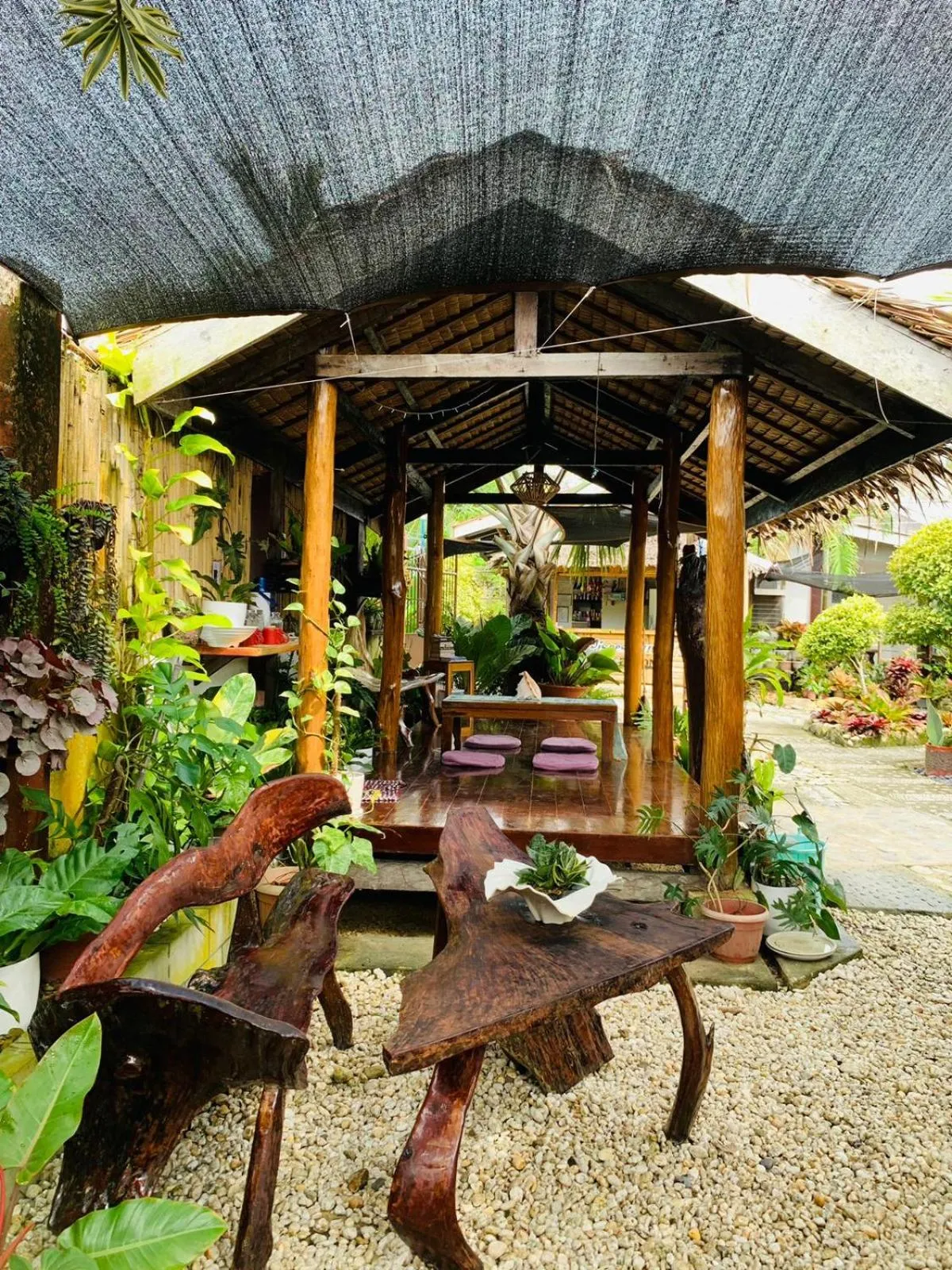 Garden in Pisces Tourist Inn - Port Barton