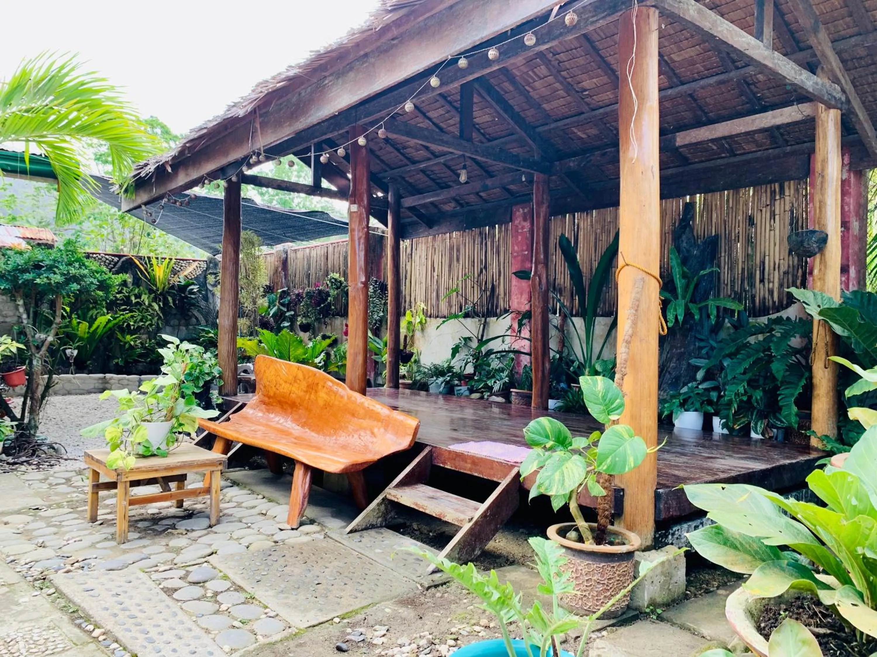 Garden view in Pisces Tourist Inn - Port Barton