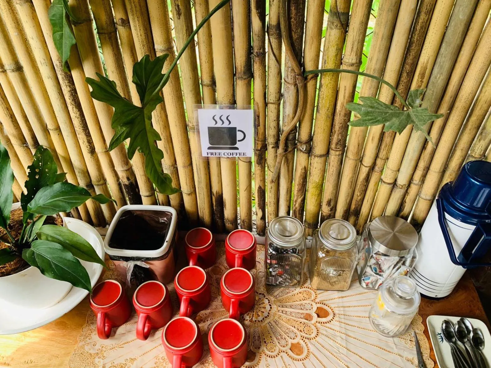 Drinks in Pisces Tourist Inn - Port Barton