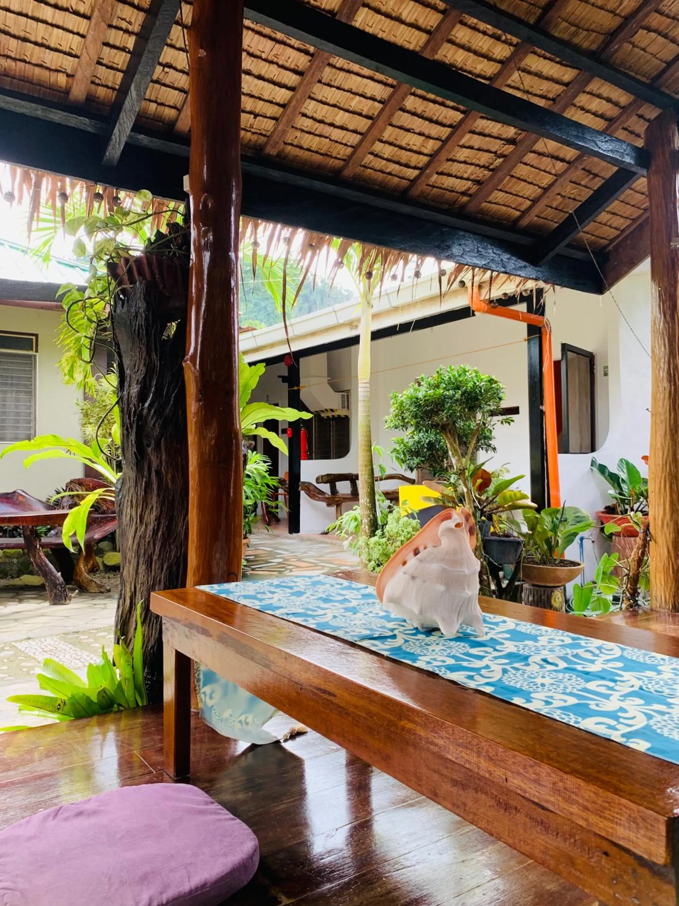 Garden in Pisces Tourist Inn - Port Barton