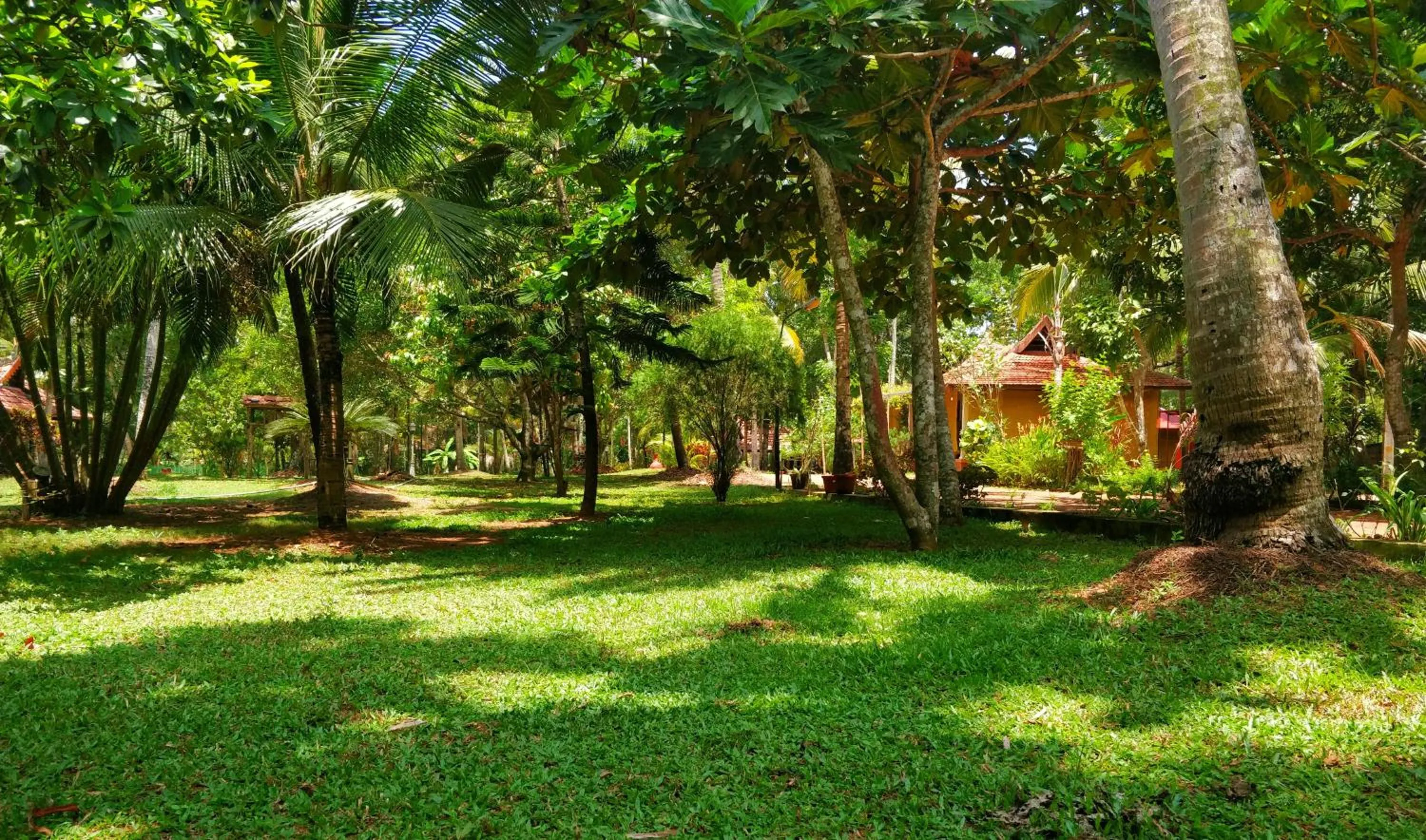 Natural landscape in Palathra Heritage