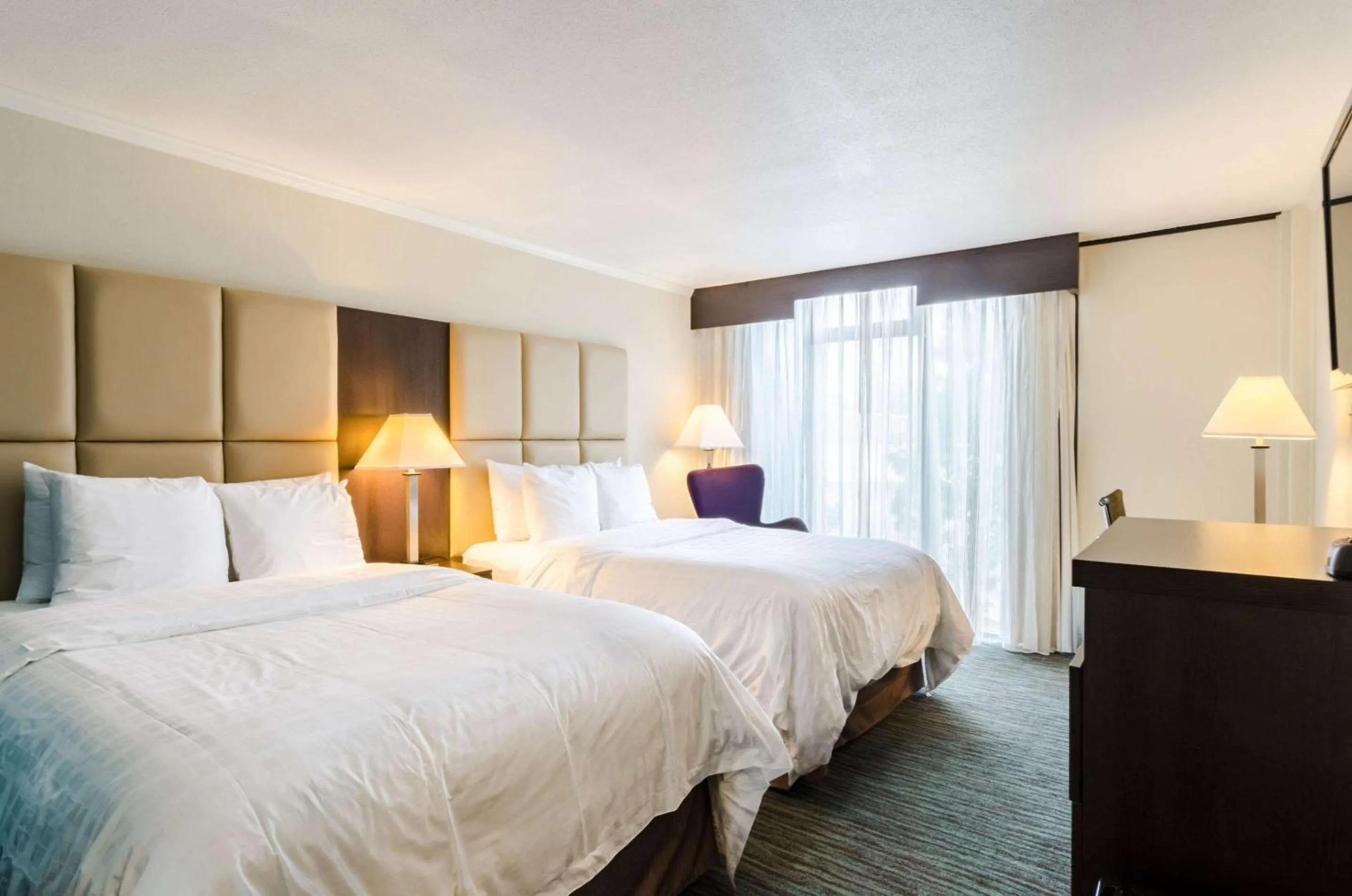 Photo of the whole room in Clarion Hotel Aqua Lagoon Waterpark