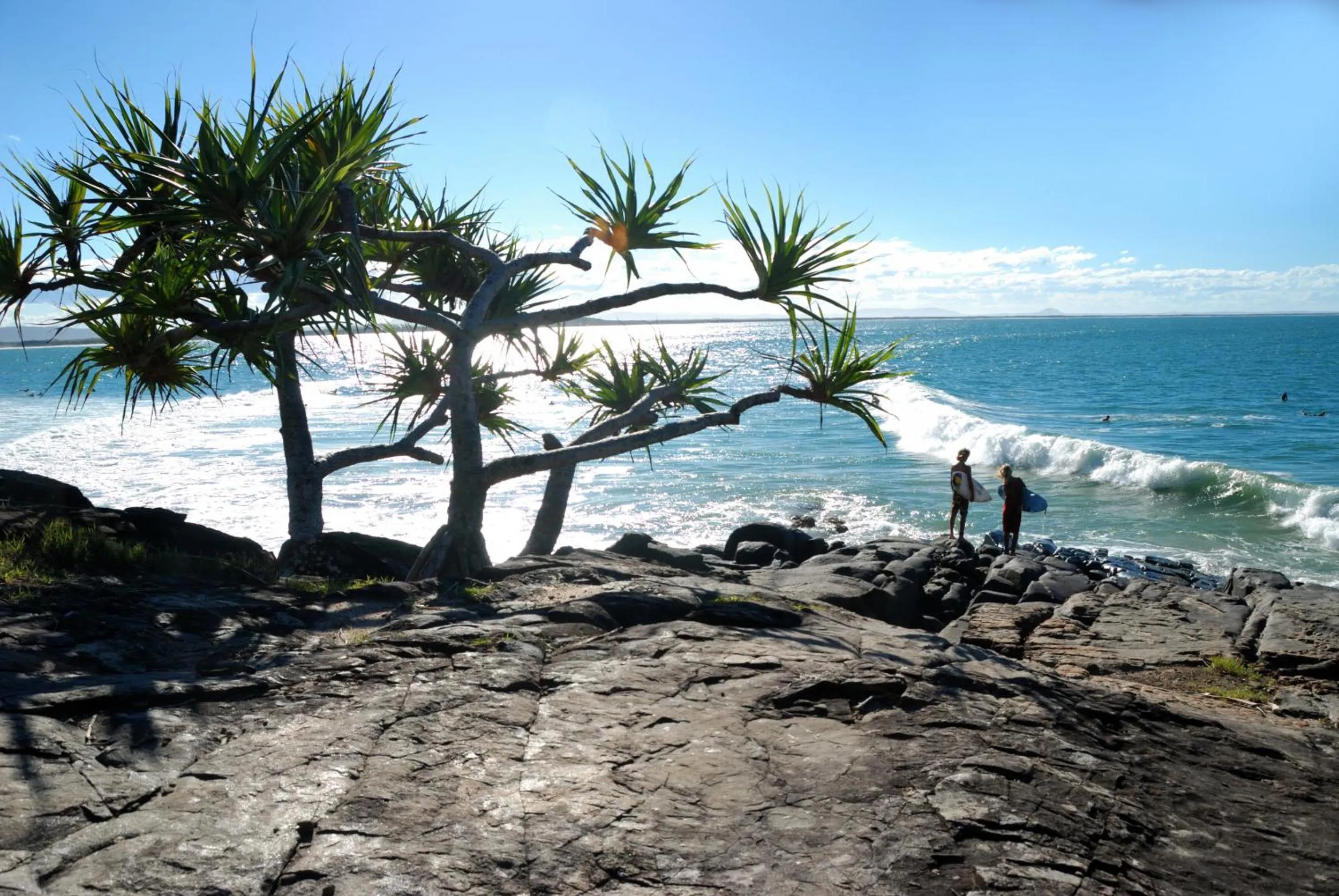Beach in Sunset Cove Noosa