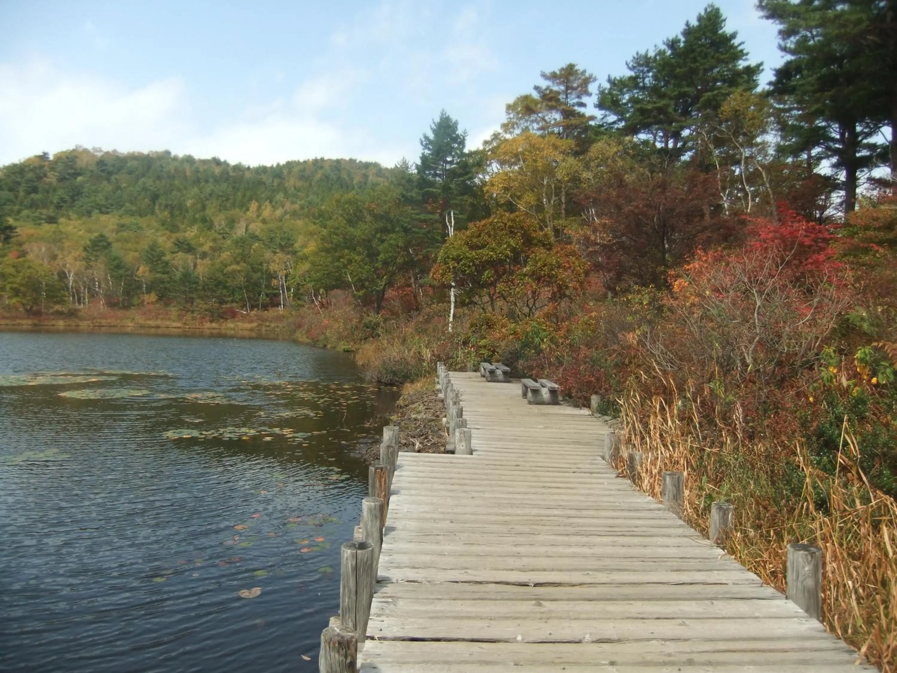 Day in Shiga Park Hotel