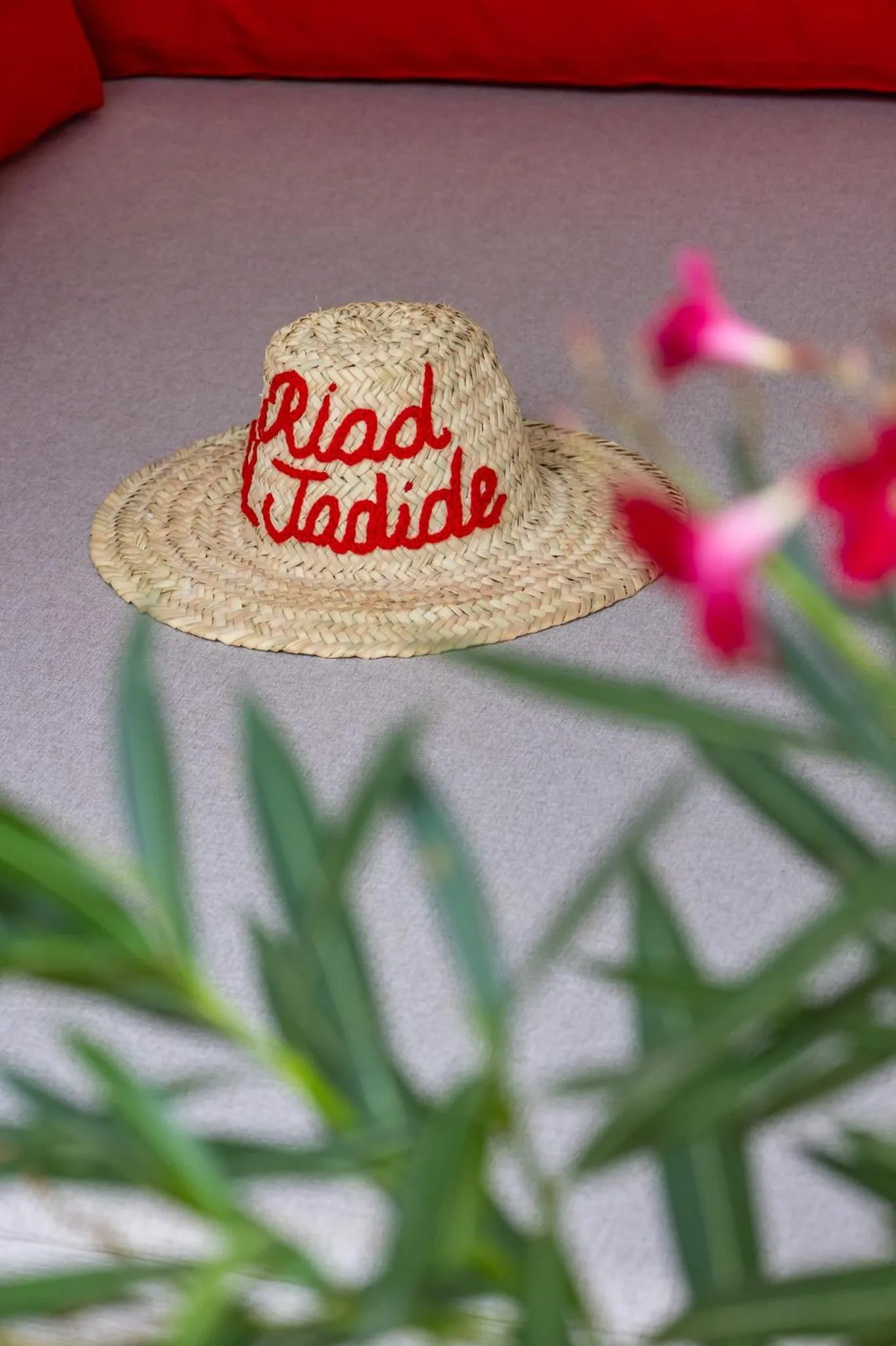 Logo/Certificate/Sign in Riad El Jadide