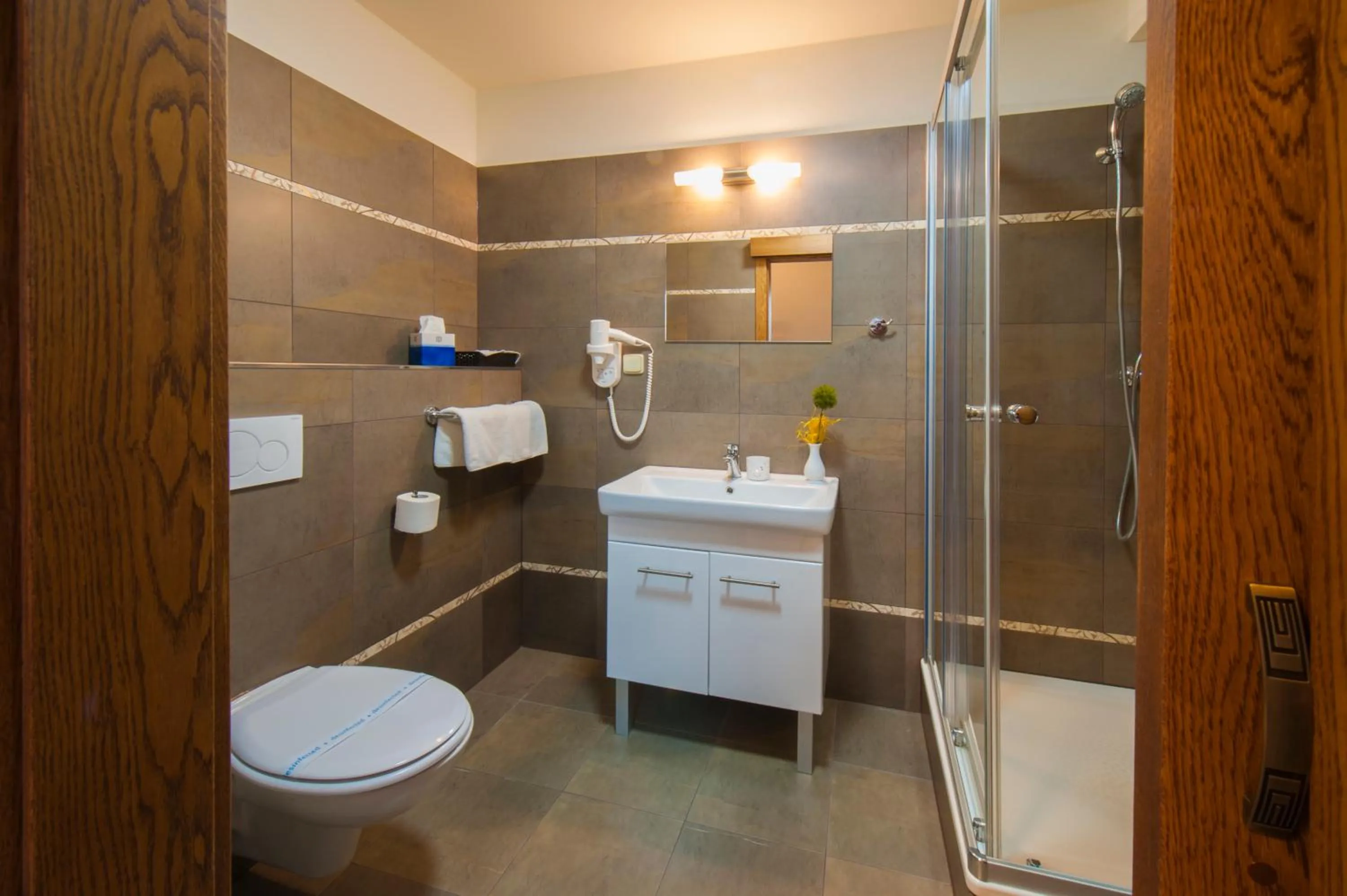 Bathroom in Hotel Mario