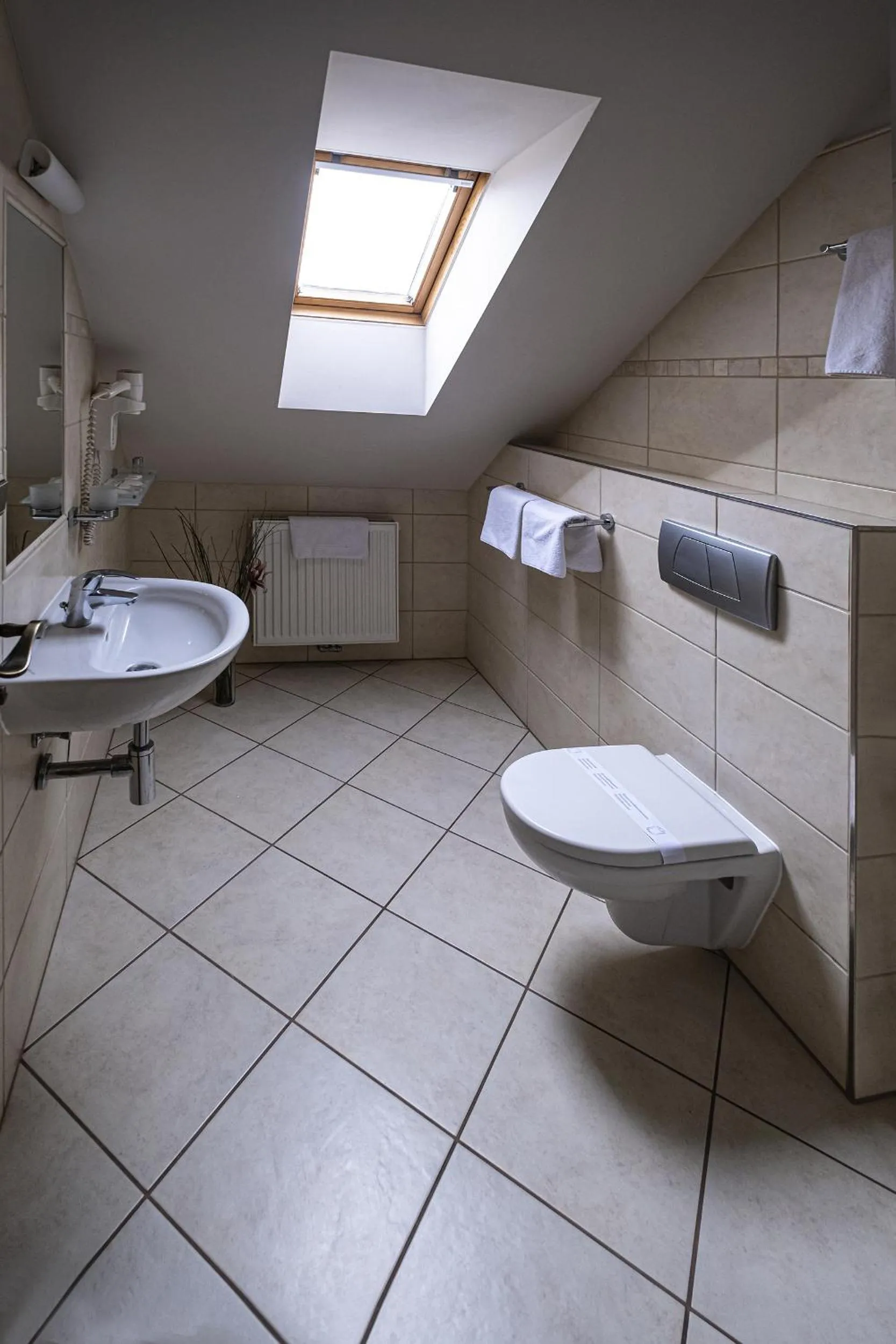 Toilet in Hotel Mario