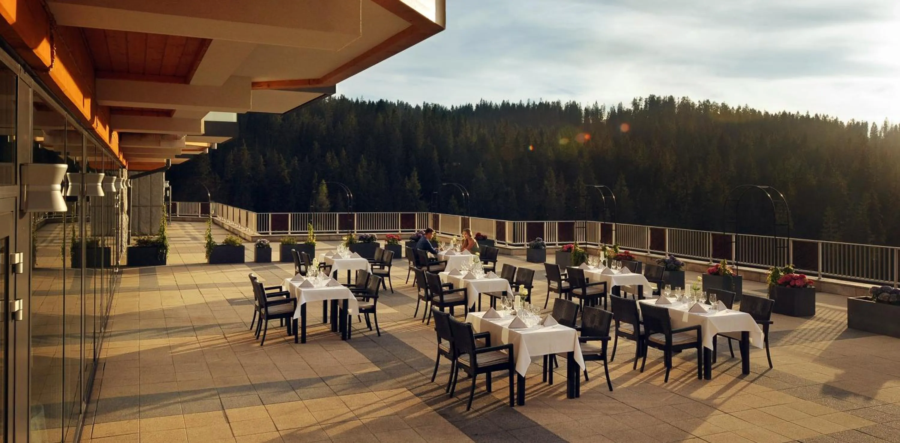 Restaurant/places to eat in Hotel BUKOVINA