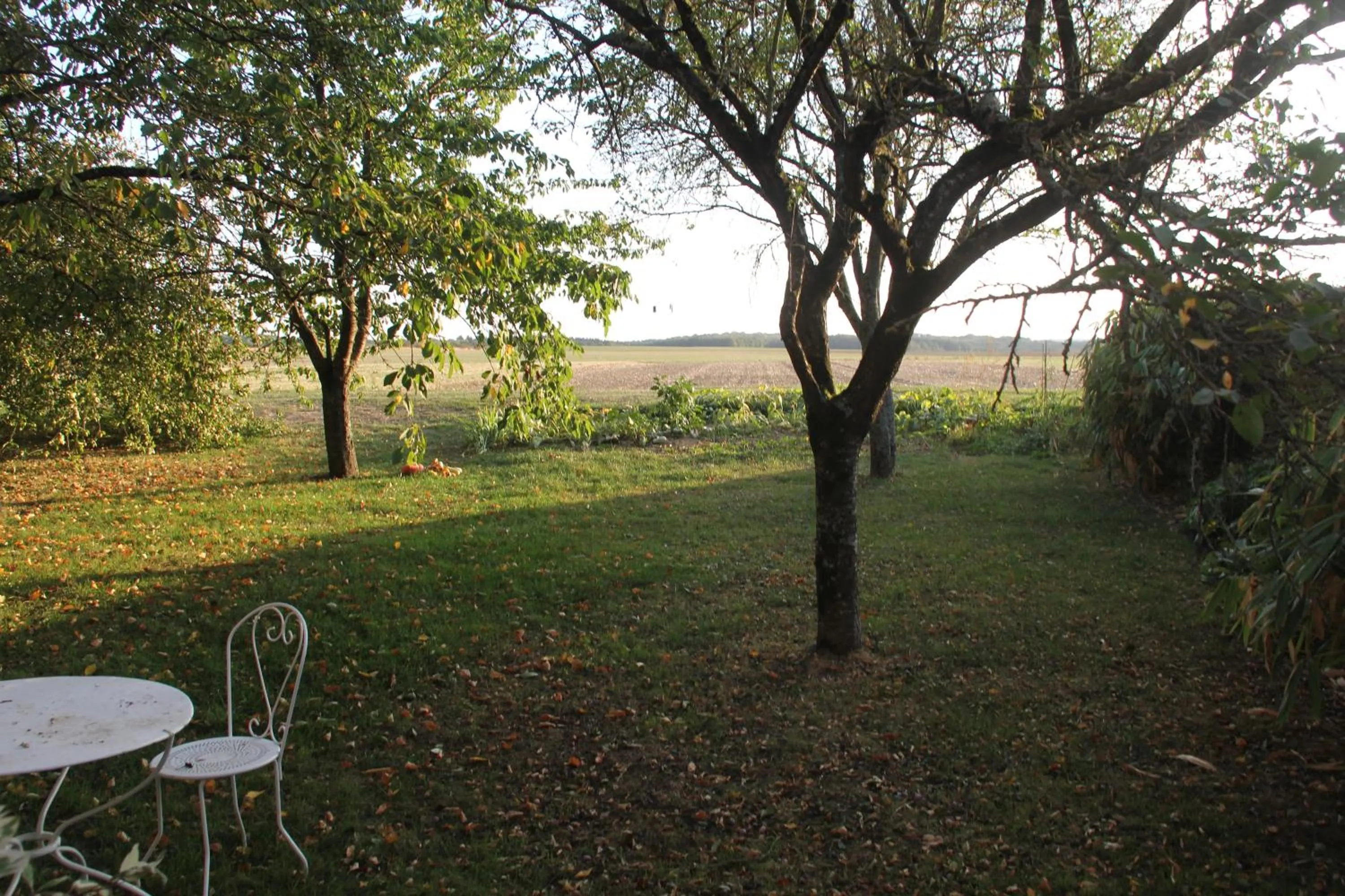 Garden view in Blumereve
