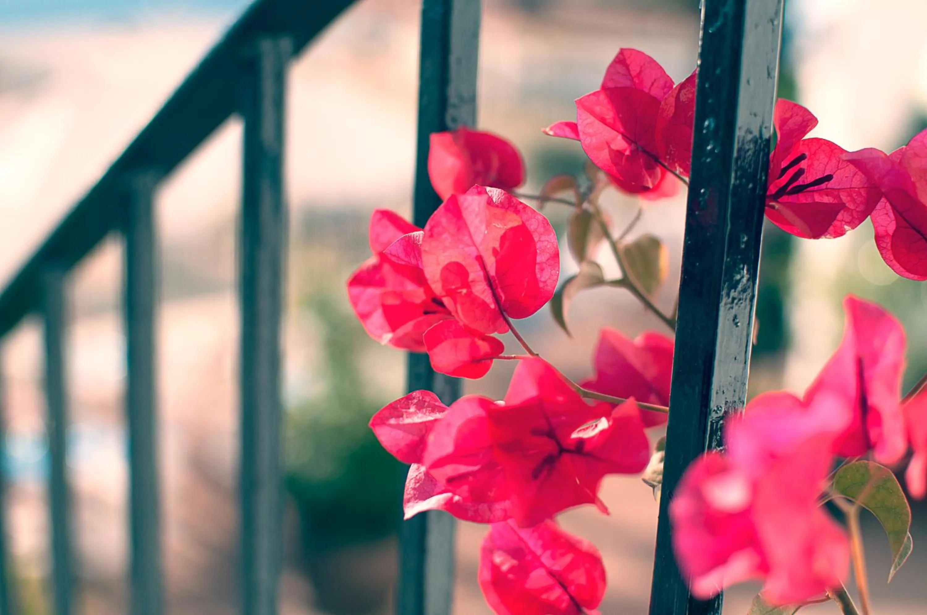 Day in Hotel La Fonda