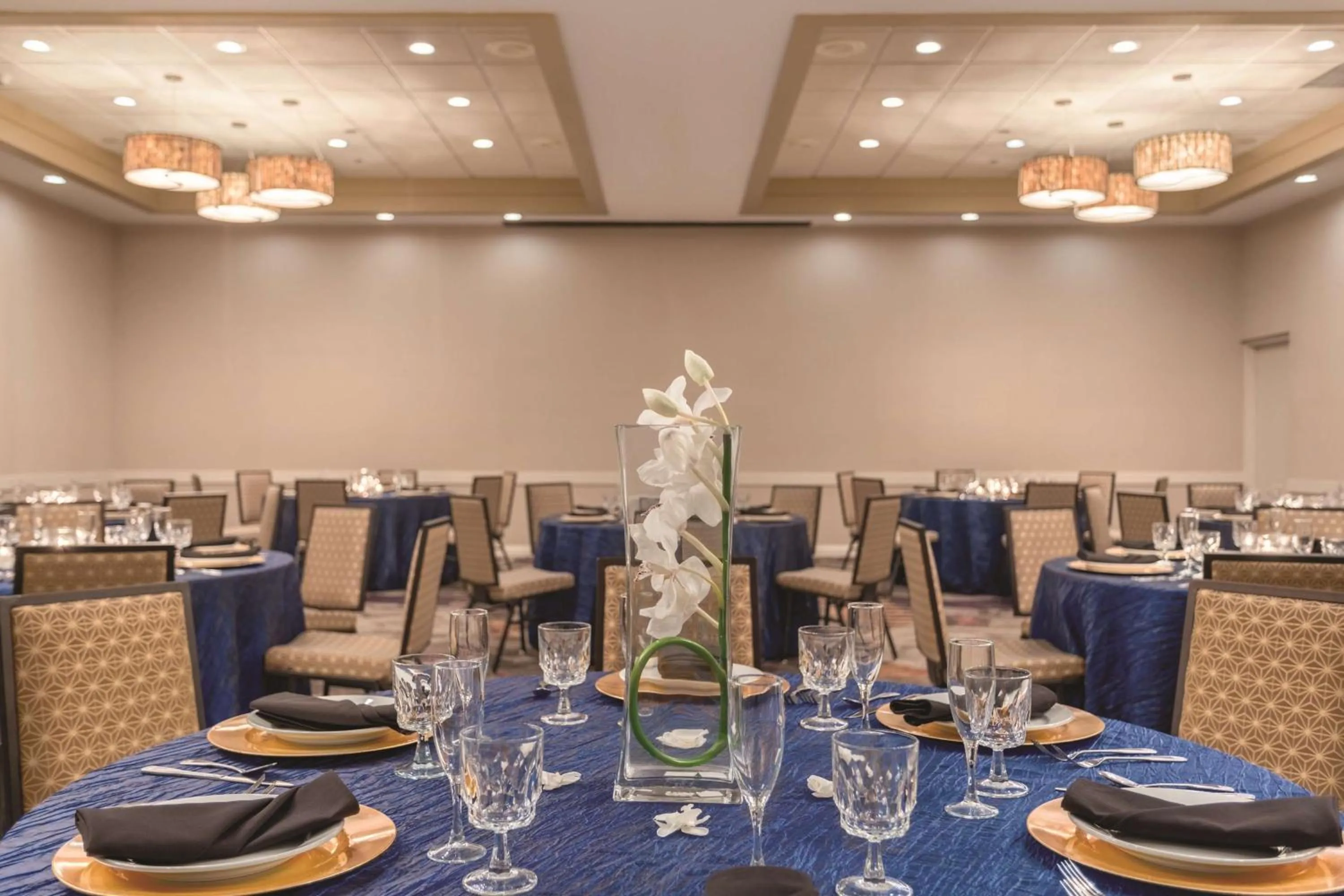 Banquet/Function facilities in Embassy Suites by Hilton Orlando International Drive ICON Park