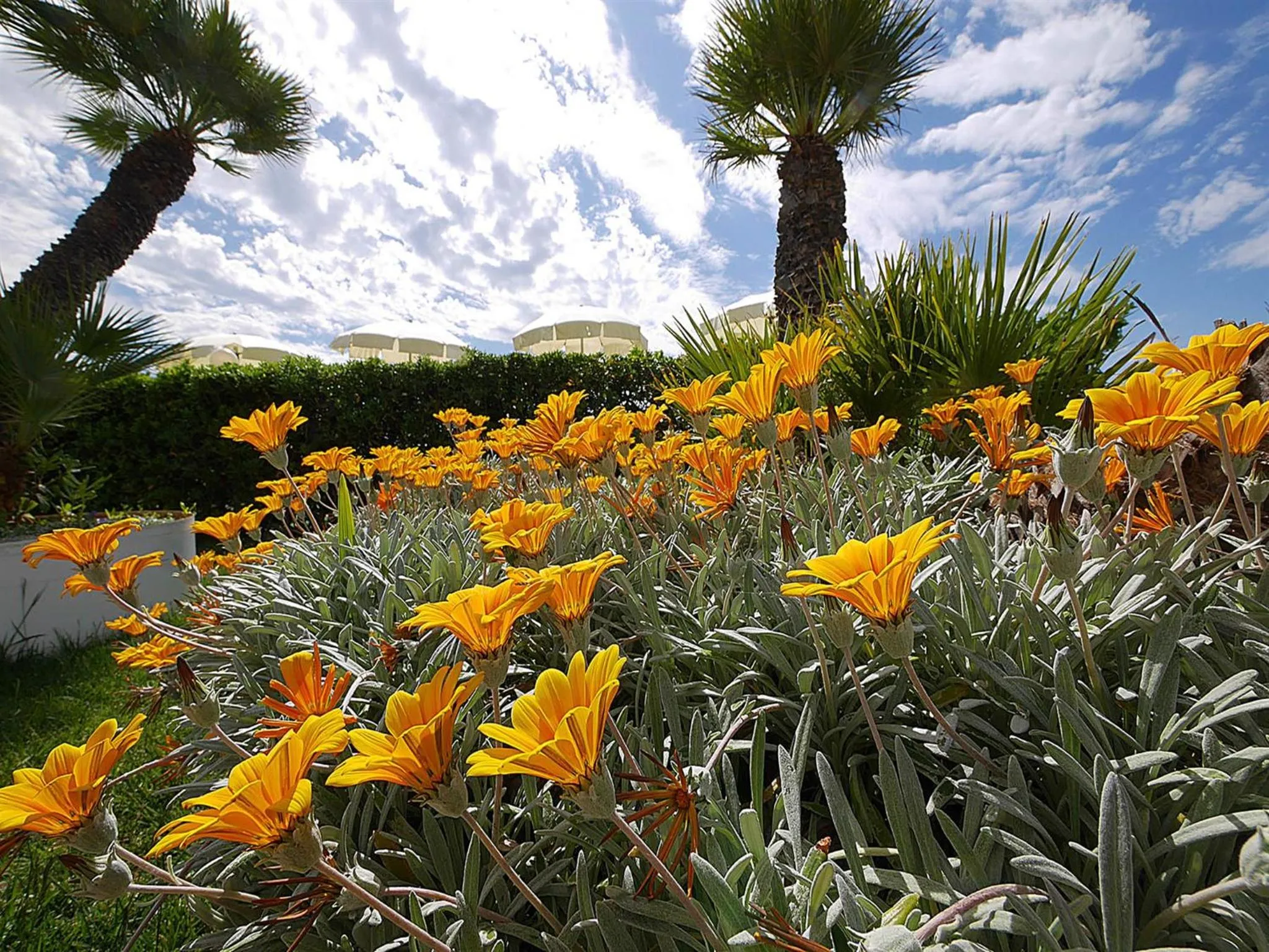 Garden in Residence Villa Piani
