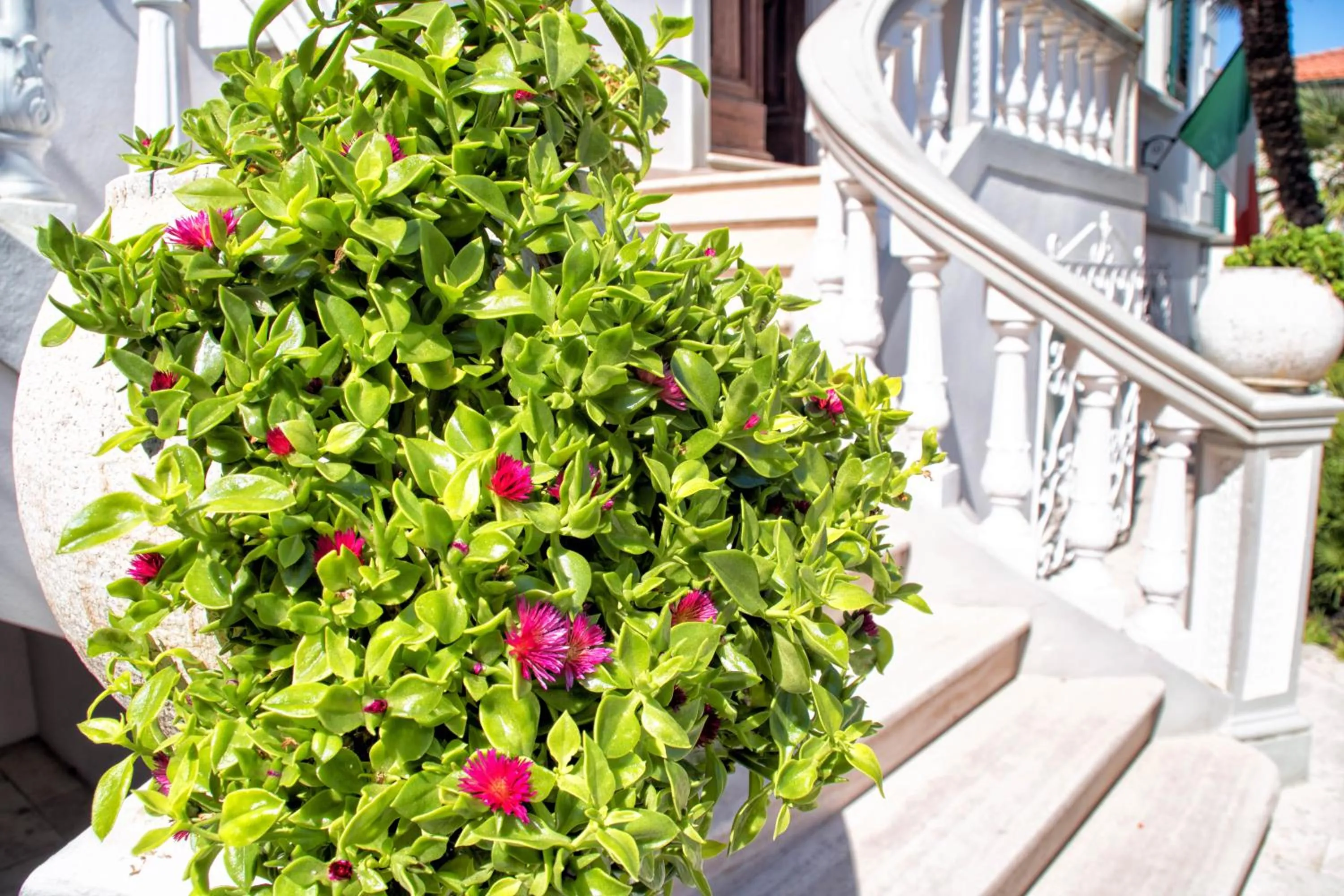 Property building in Residence Villa Piani