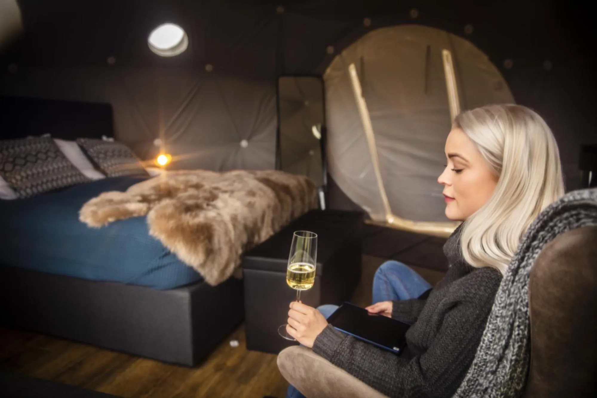 Photo of the whole room in Reykjavik Domes