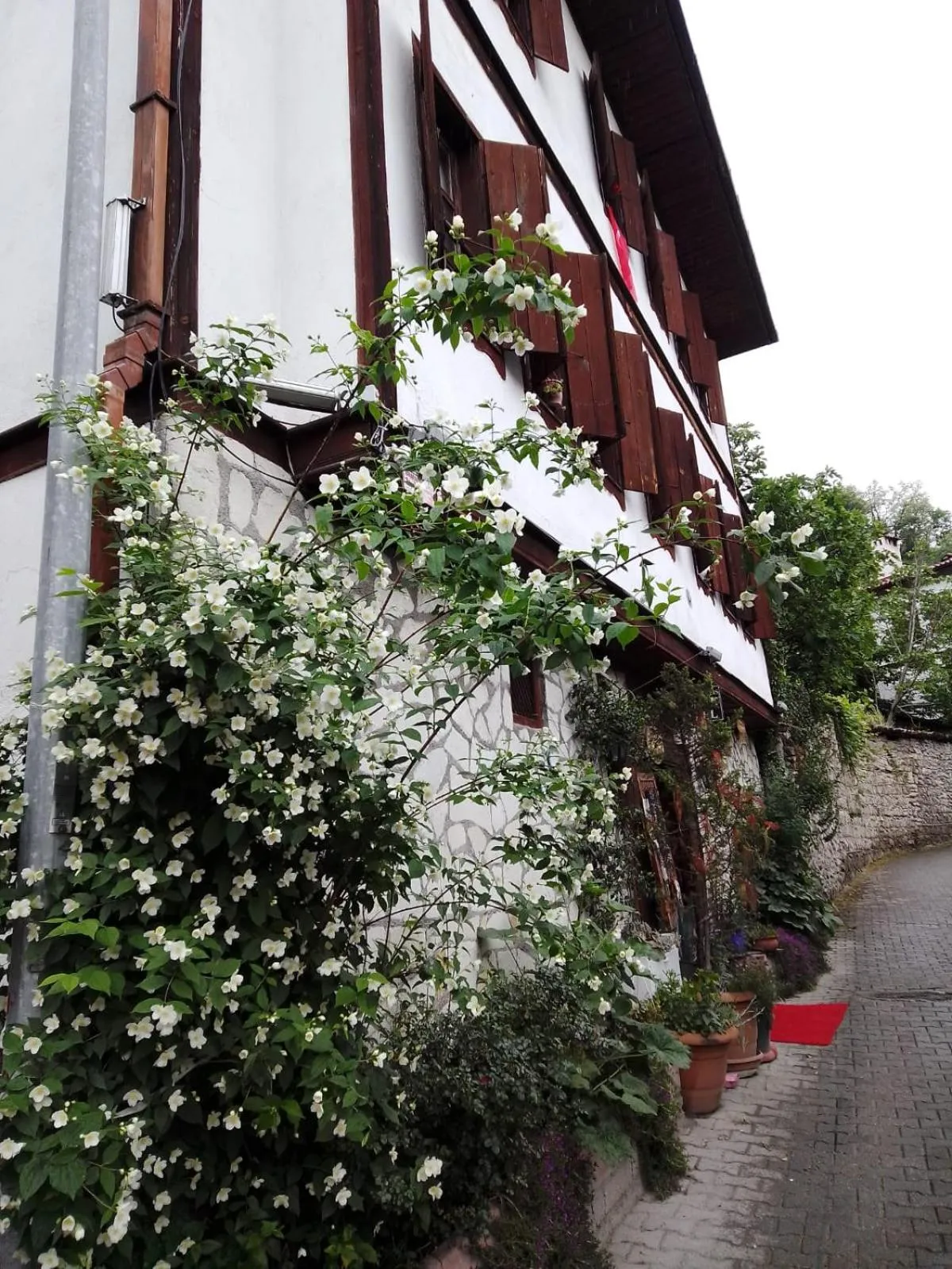 Property building in Turgut Reis Konak