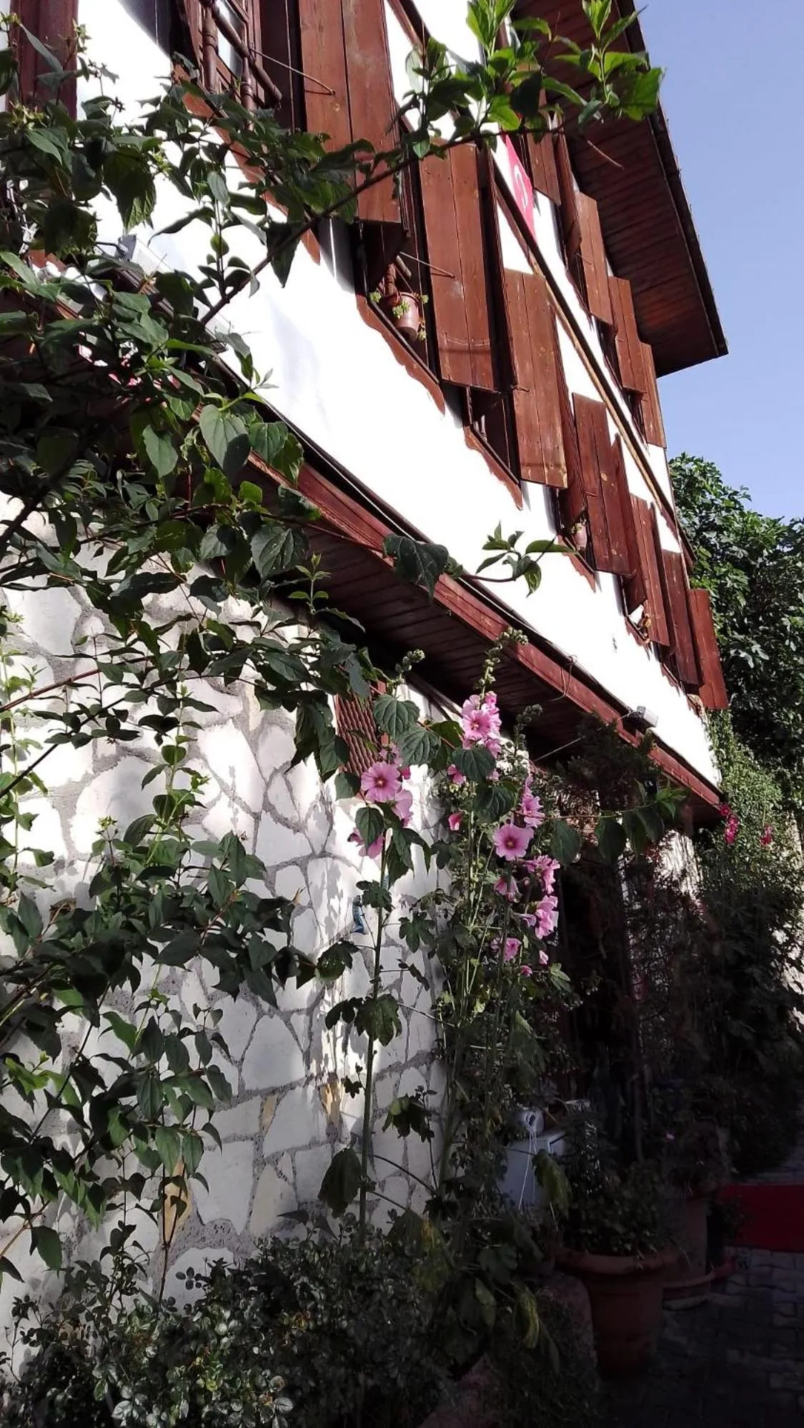 Property building in Turgut Reis Konak