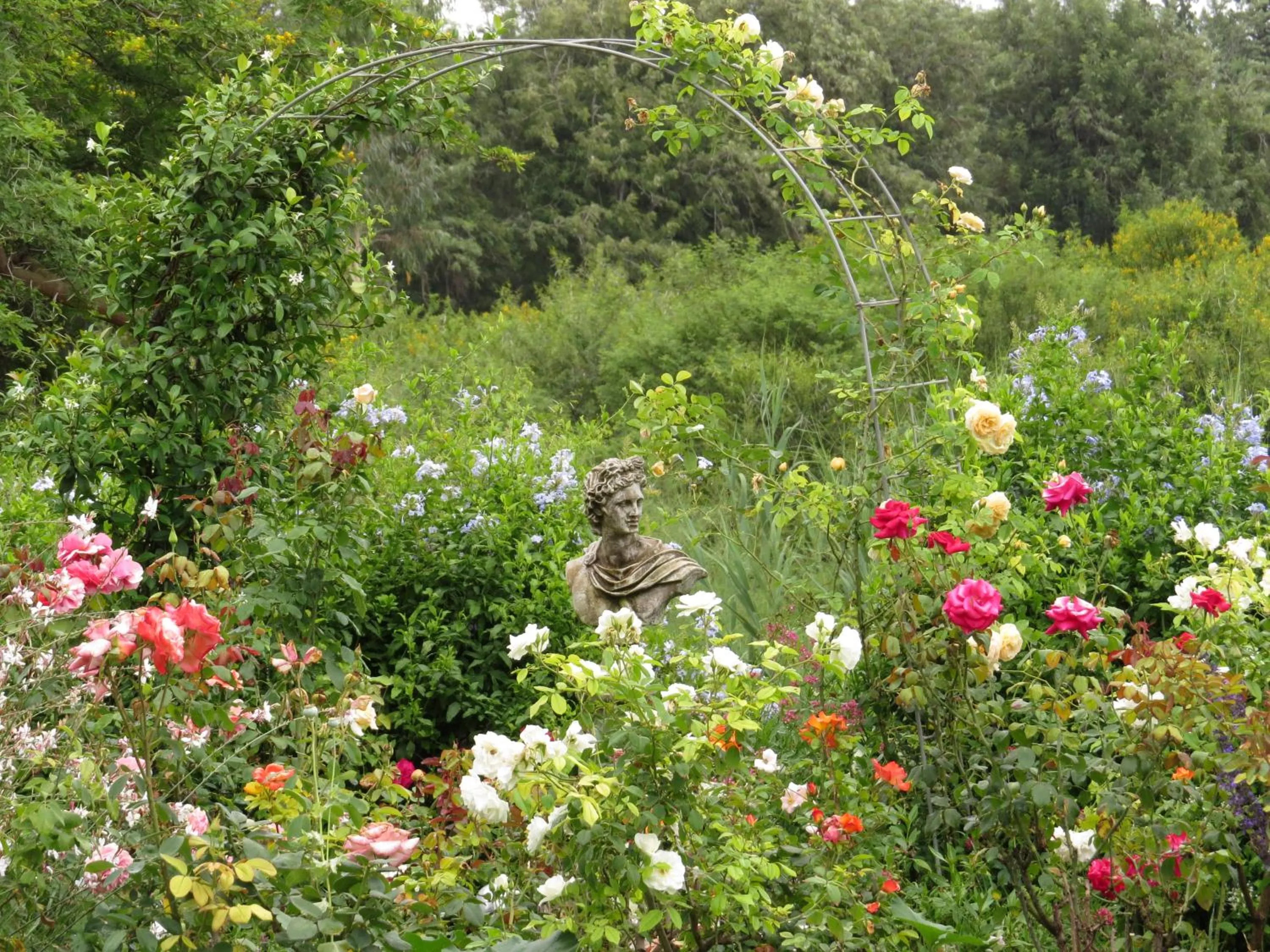 Spring in Gerald's Gift Guest House