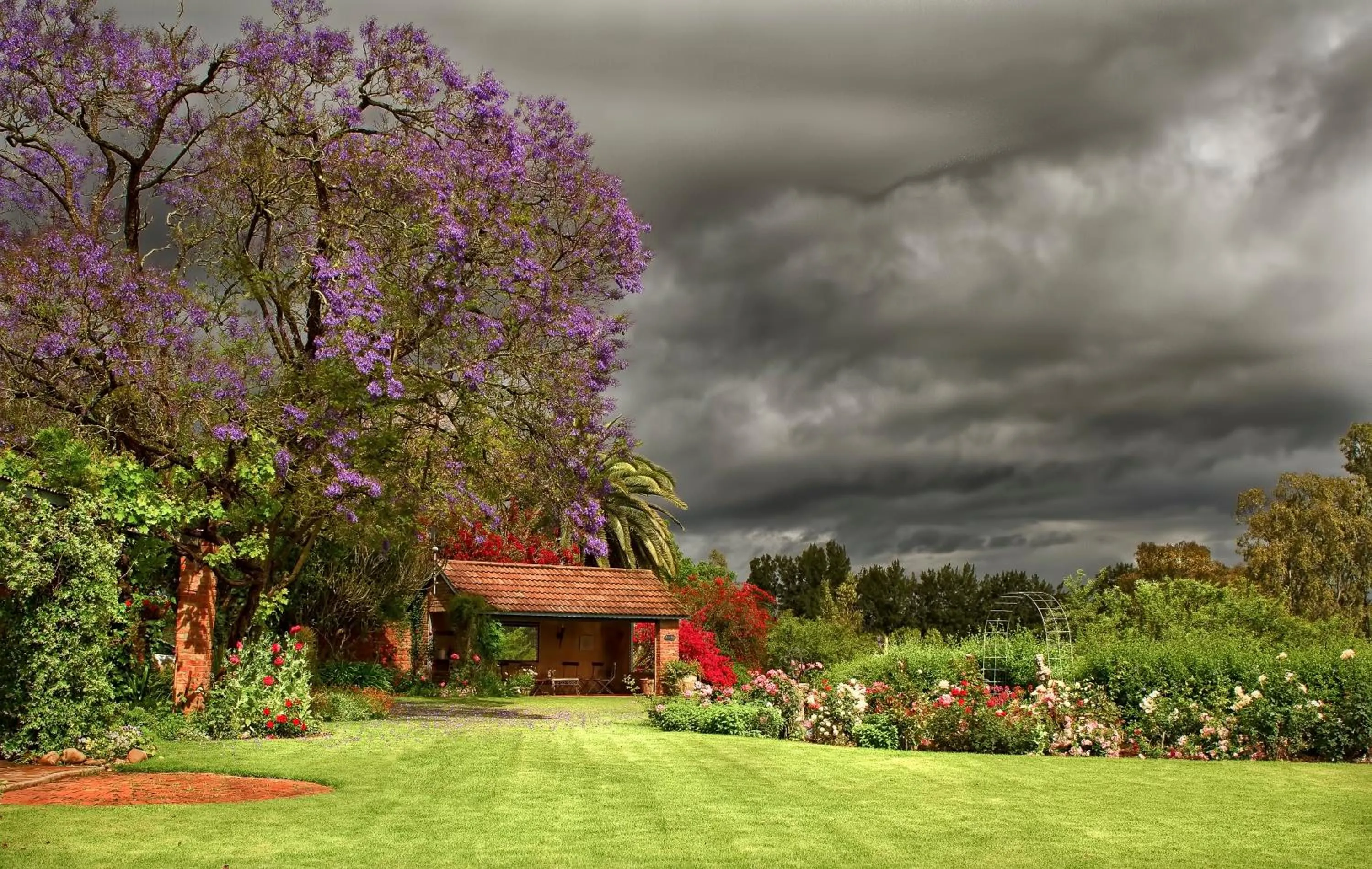 Garden in Gerald's Gift Guest House