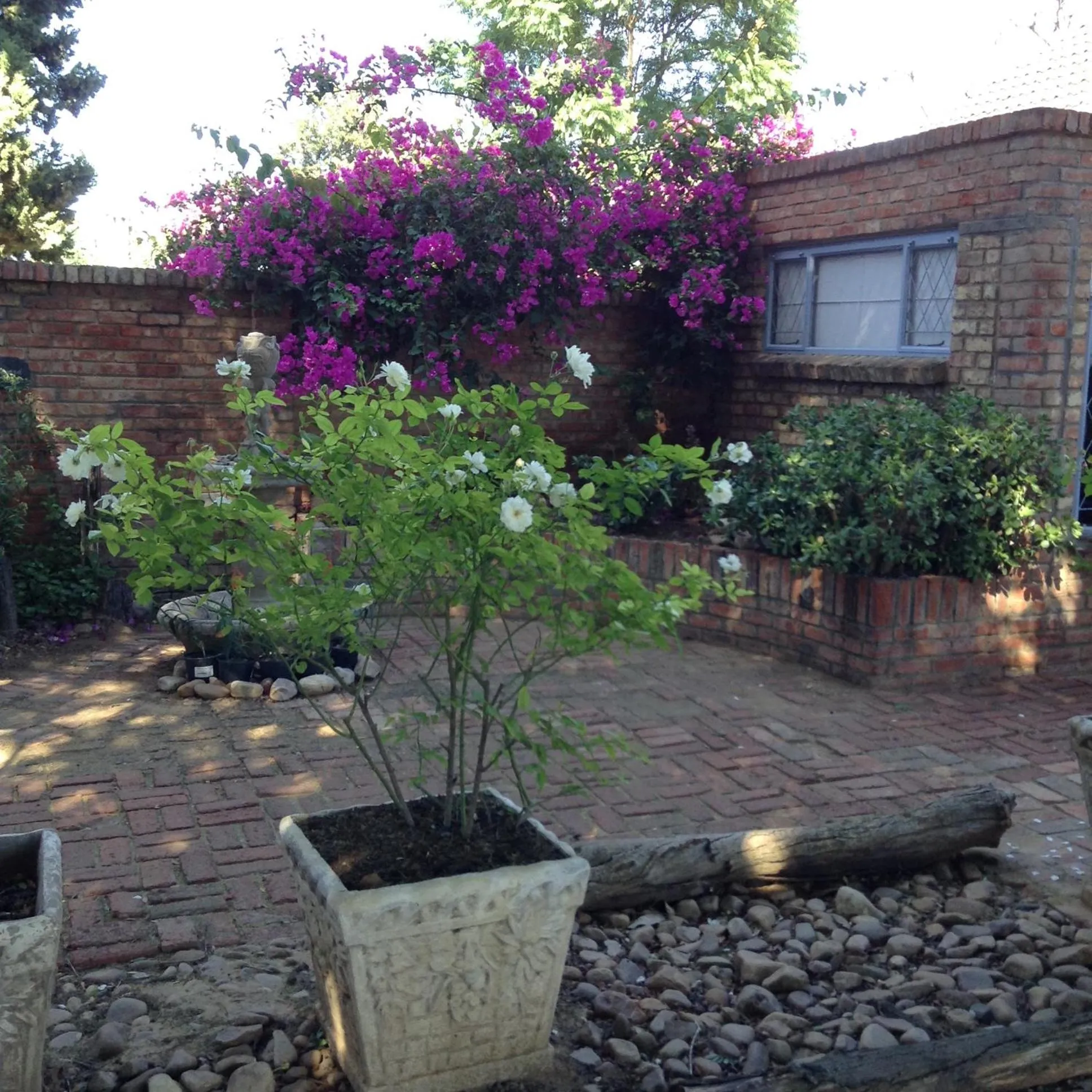 Garden in Gerald's Gift Guest House