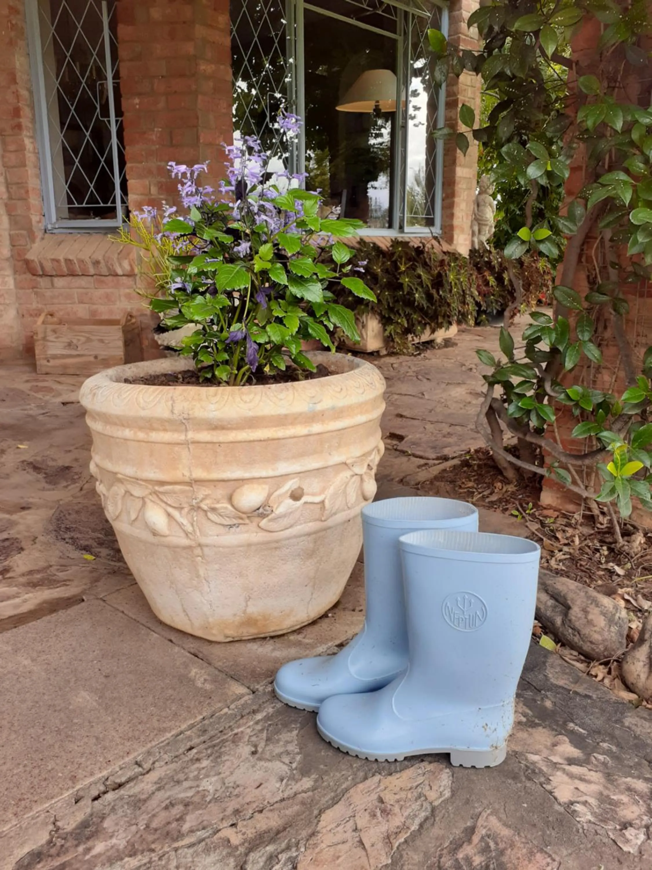 Garden in Gerald's Gift Guest House