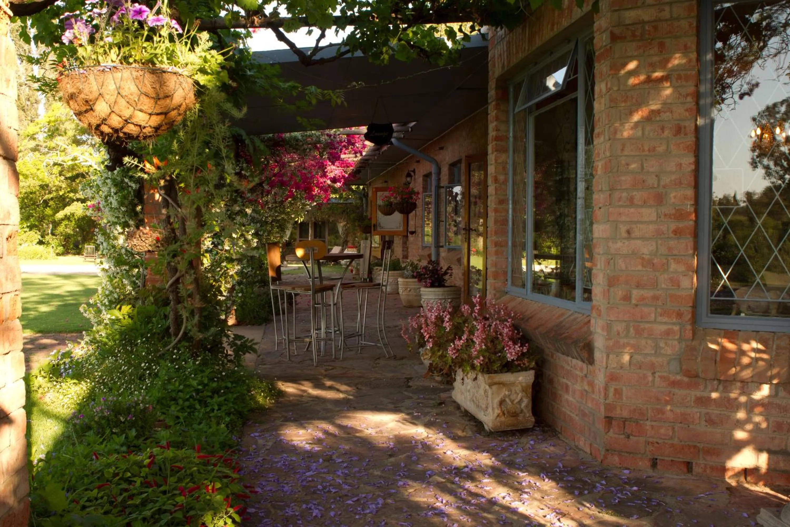 Balcony/Terrace in Gerald's Gift Guest House
