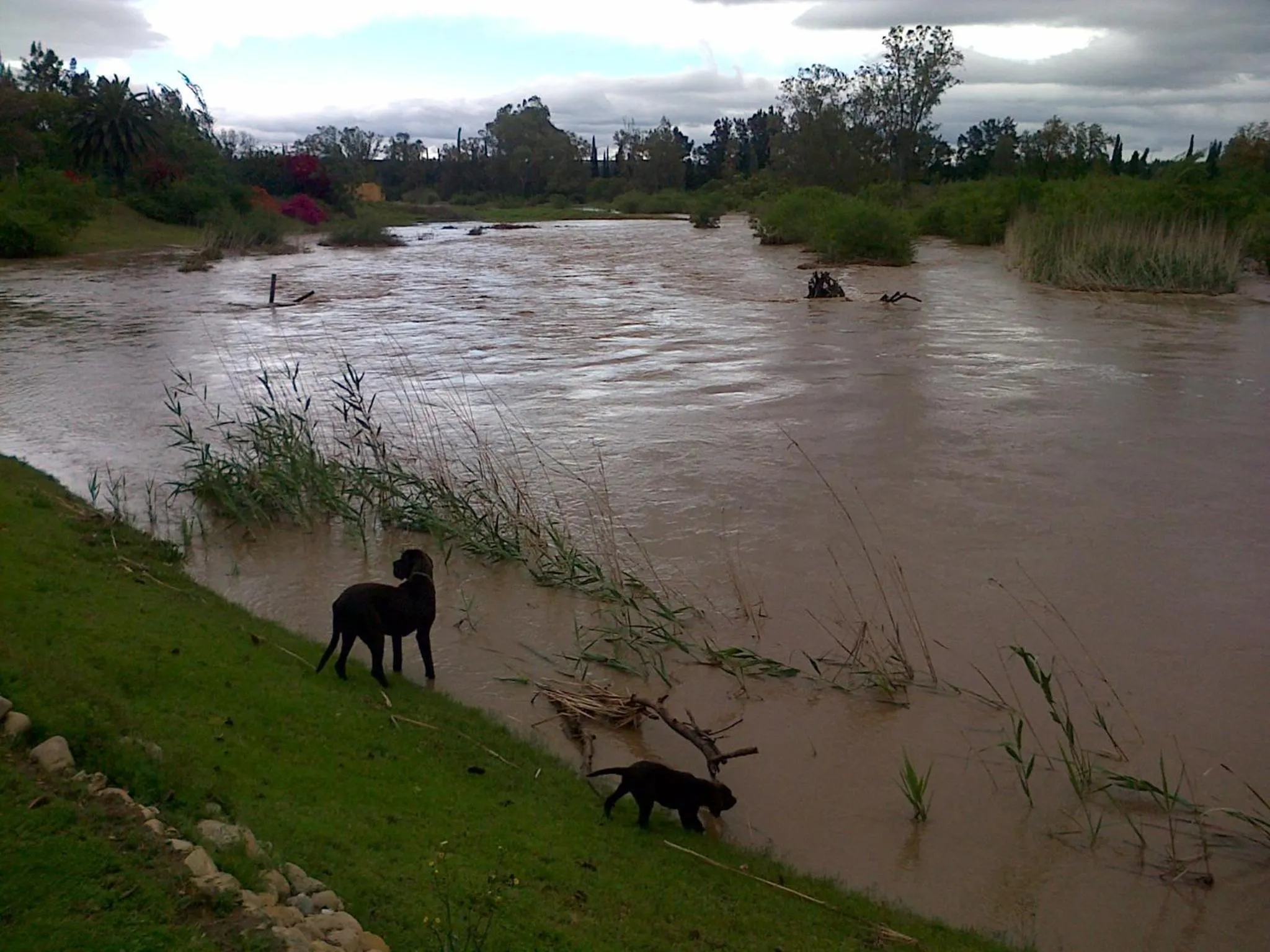 Natural landscape in Gerald's Gift Guest House