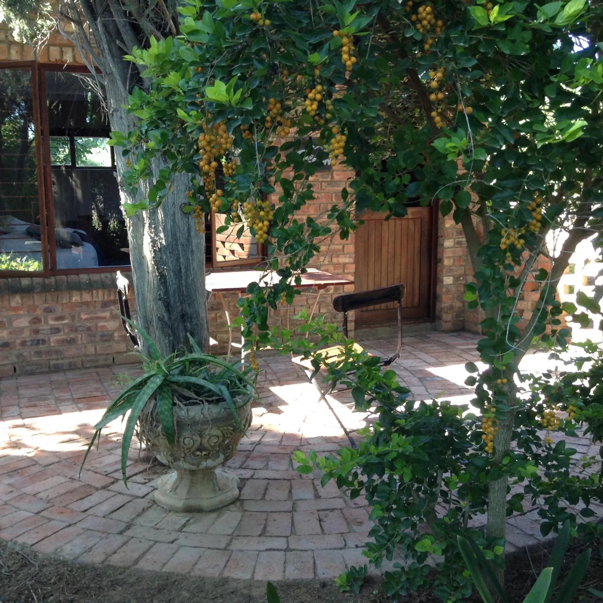 Patio in Gerald's Gift Guest House