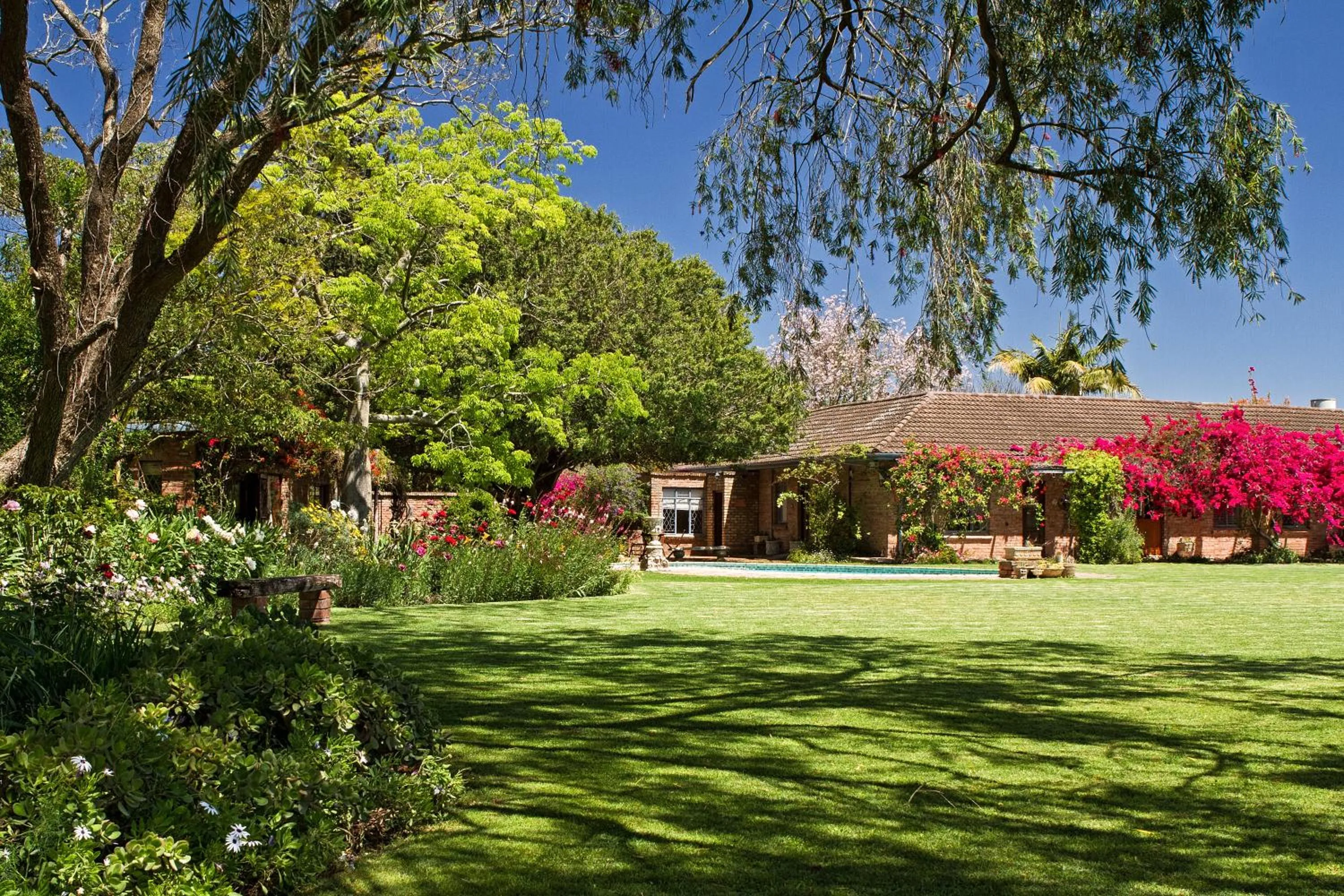 Garden in Gerald's Gift Guest House