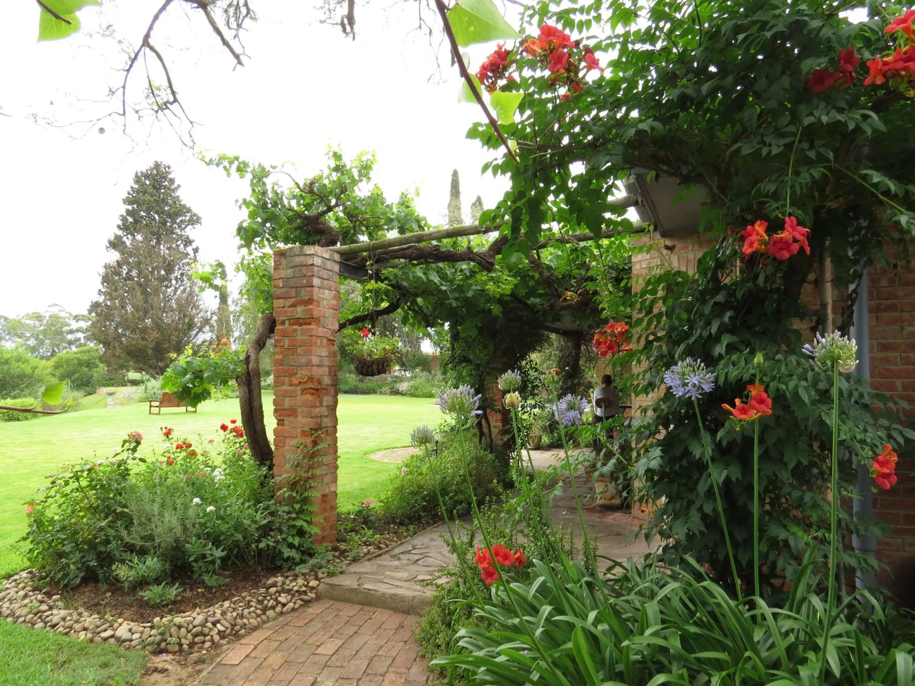 Spring in Gerald's Gift Guest House