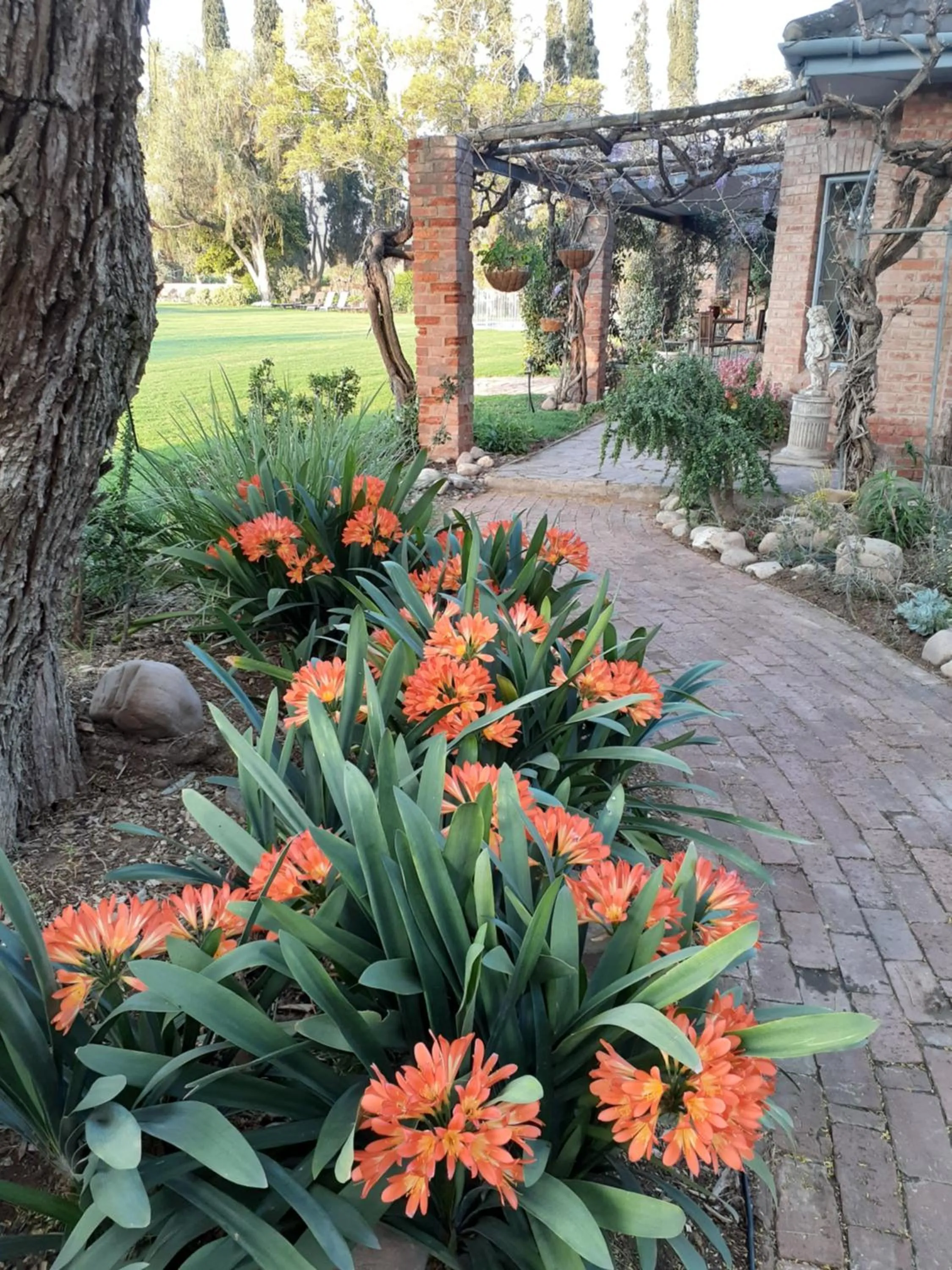 Garden in Gerald's Gift Guest House