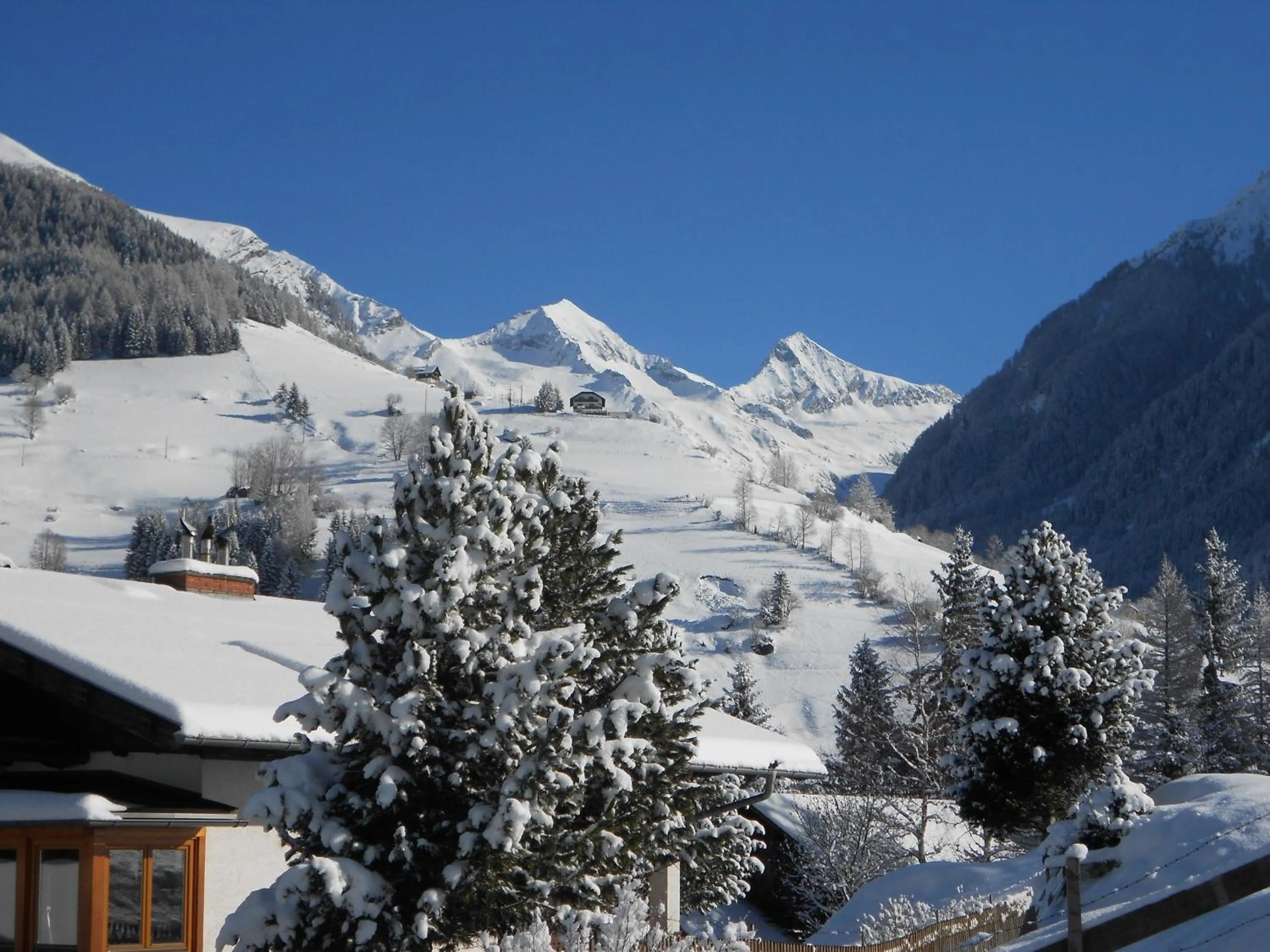 Mountain view in Hotel Pension Oswald