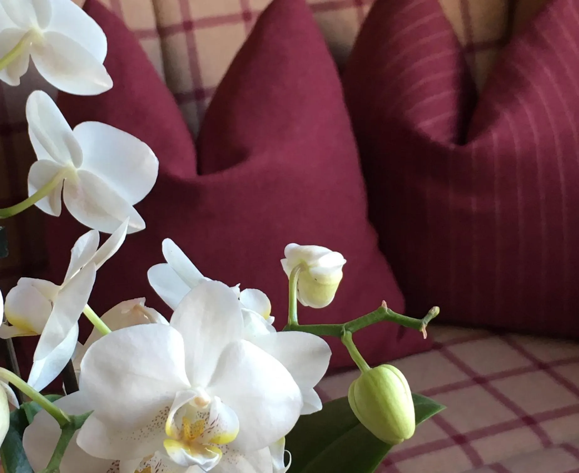 Lobby or reception in Royal Hotel Hinterhuber