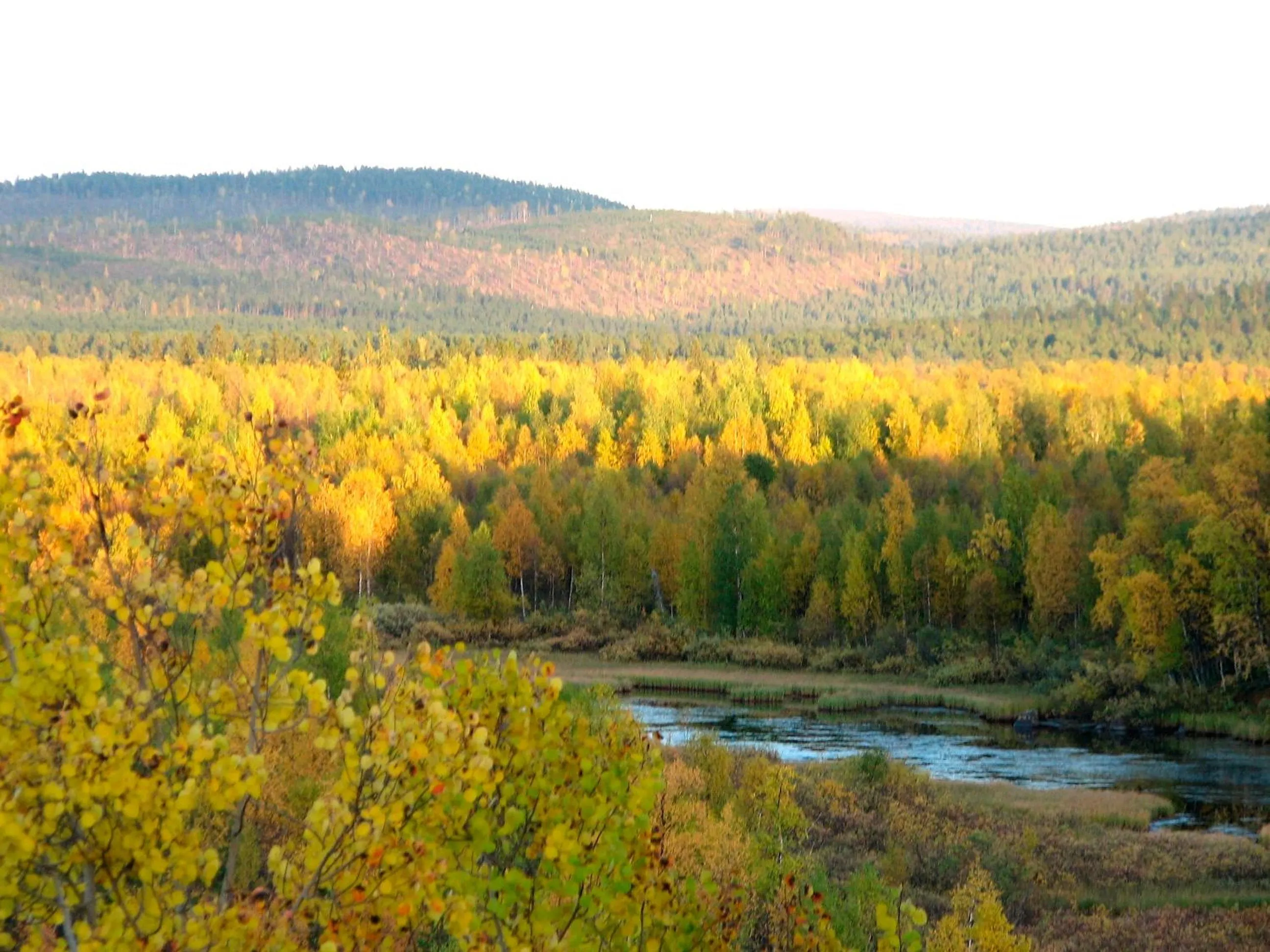 Natural landscape in Holiday Club Saariselkä