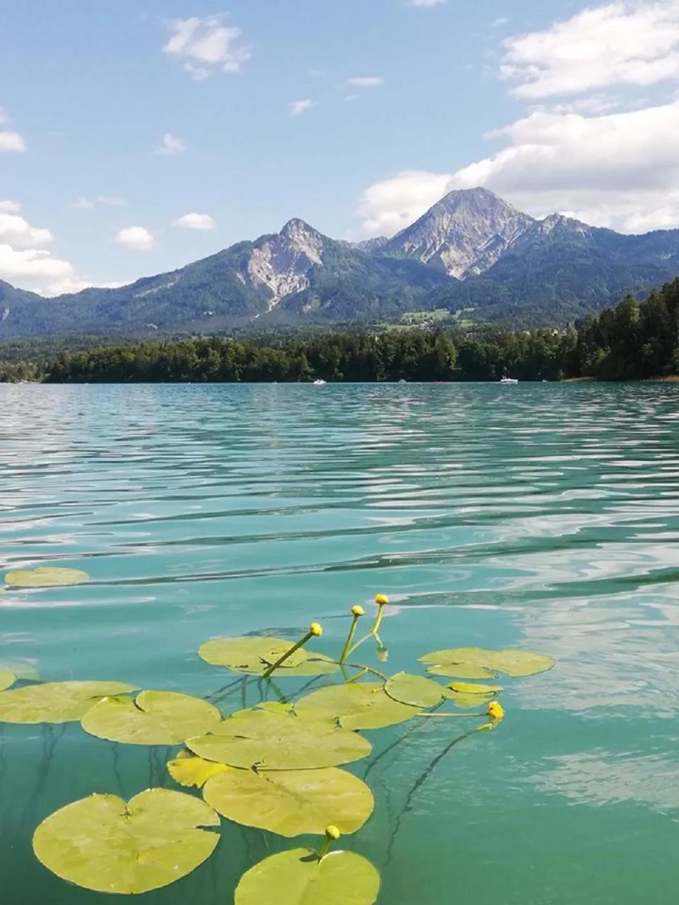 Beach in Hotel Schönruh