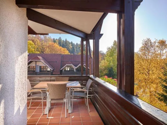 Balcony/Terrace in Hapimag Ferienwohnungen Braunlage