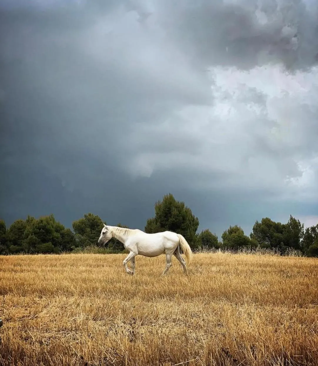 Day in La Garriga de Castelladral