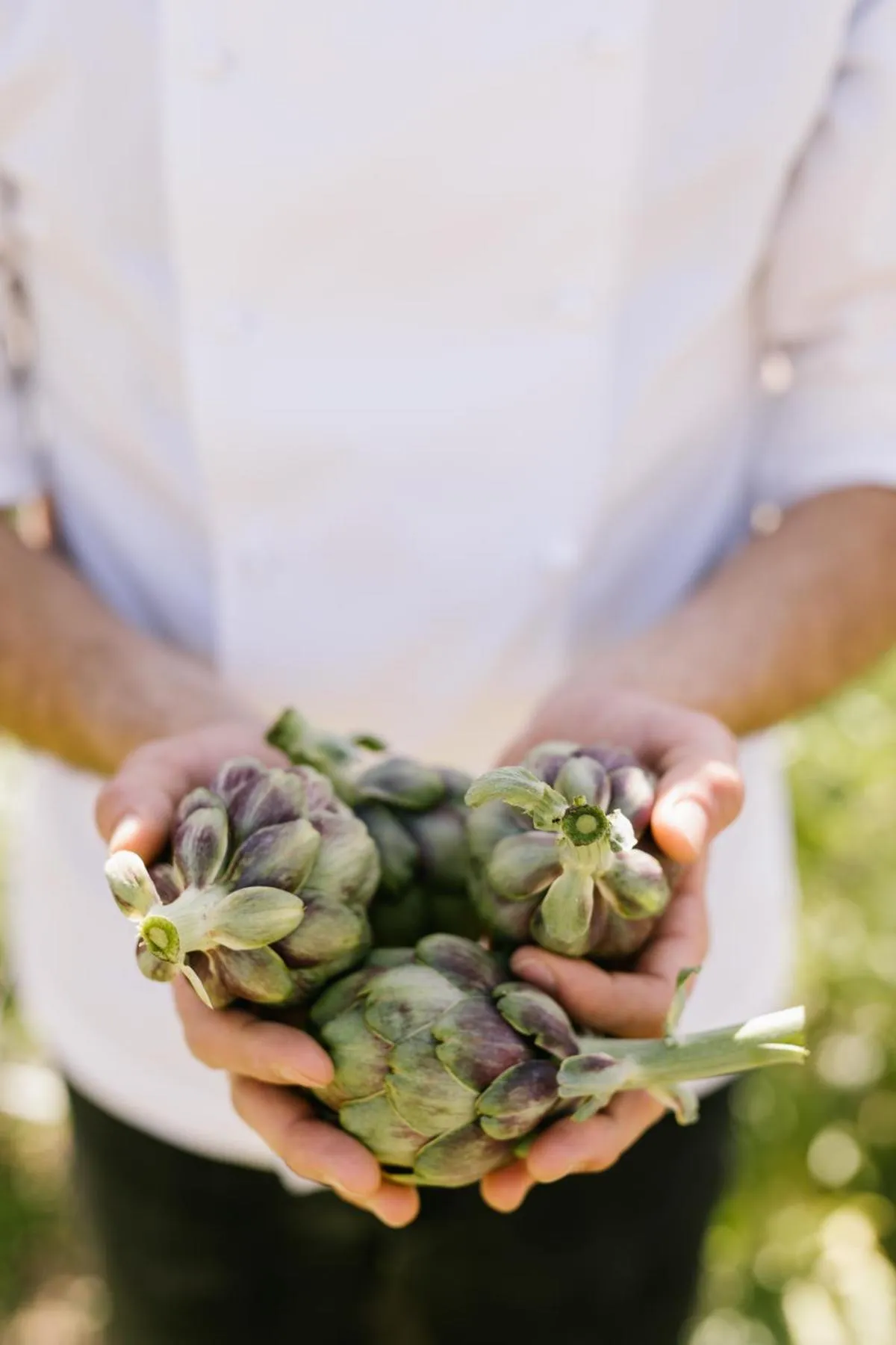 Food in La Garriga de Castelladral