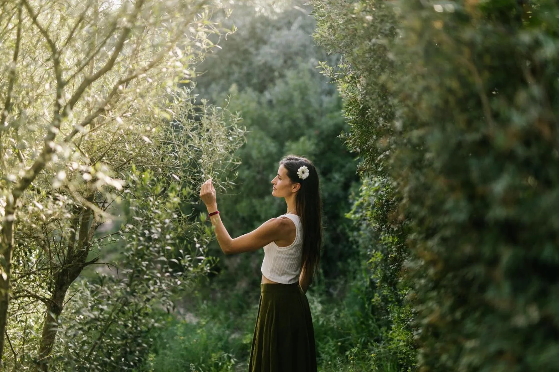 Spring in La Garriga de Castelladral