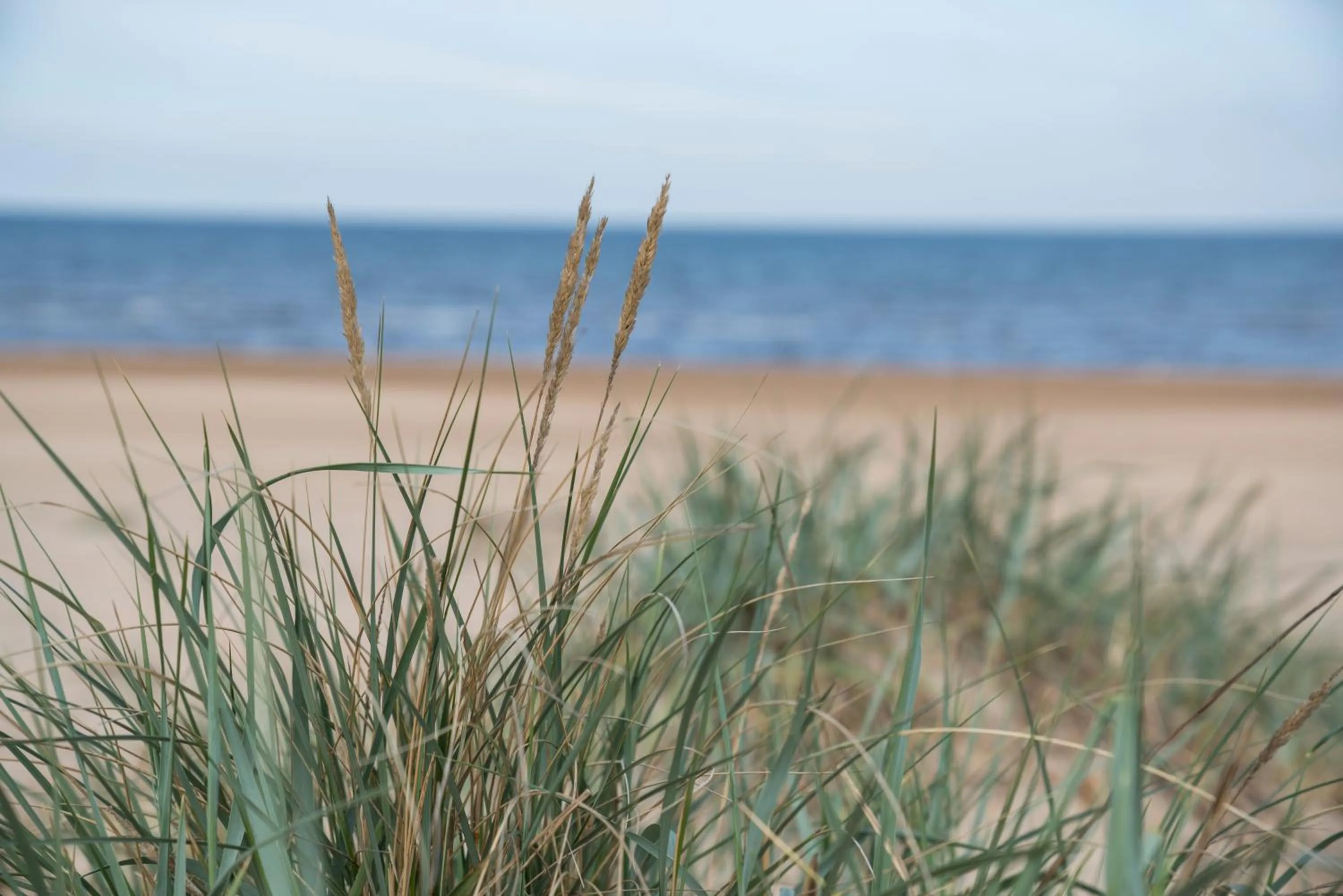 Beach in Mellbystrand Vandrarhem