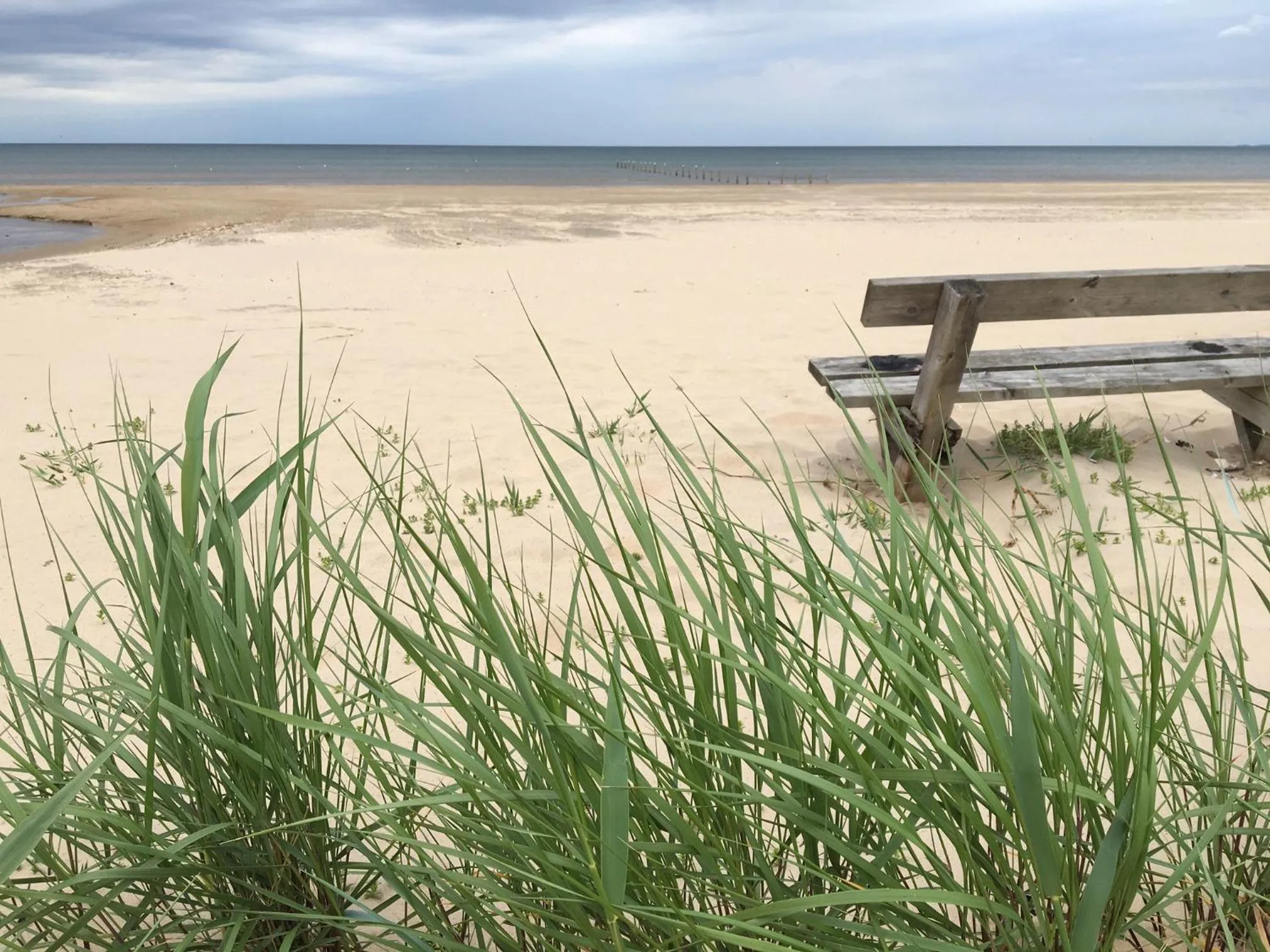 Day in Mellbystrand Vandrarhem